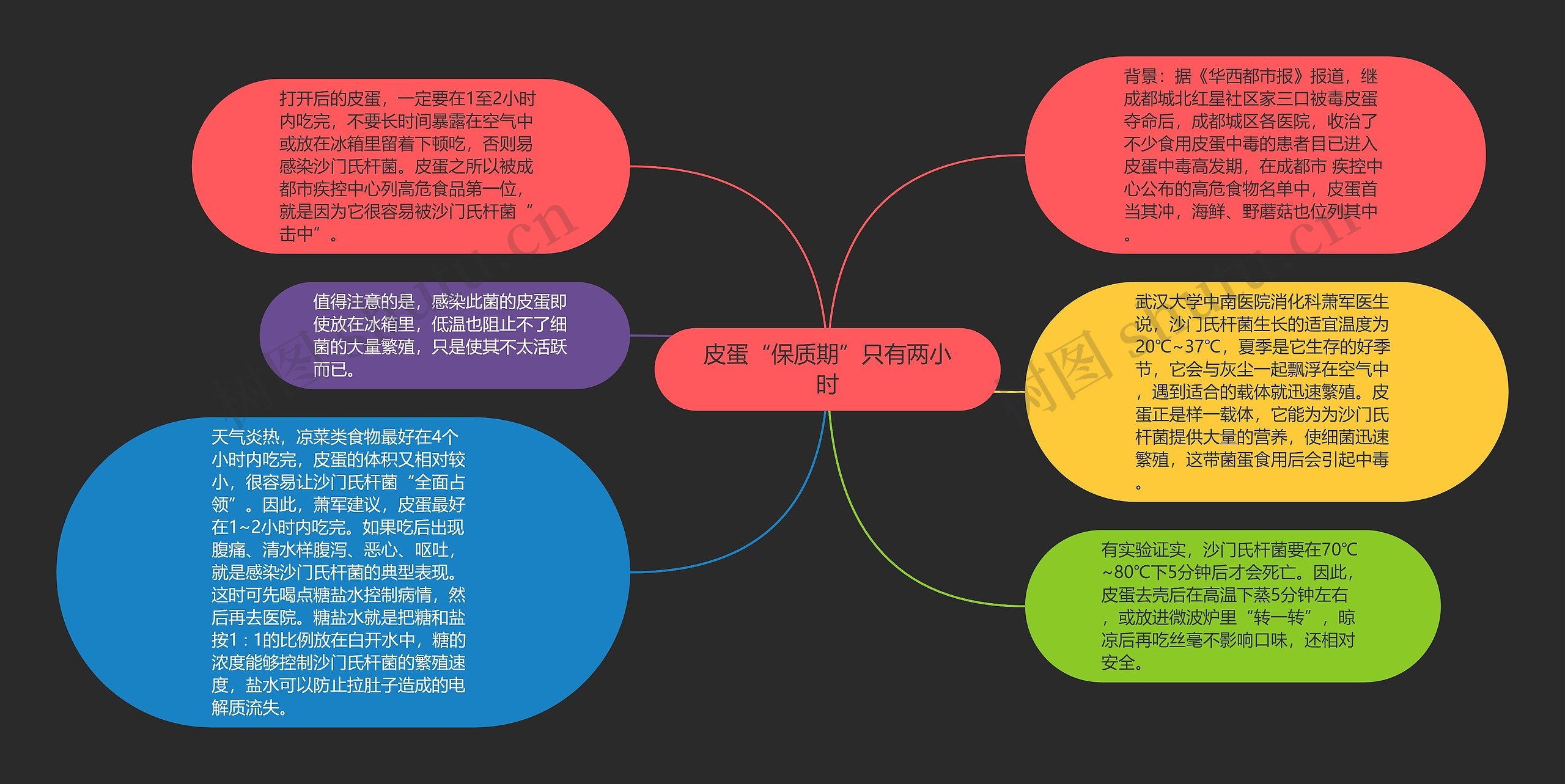 皮蛋“保质期”只有两小时思维导图