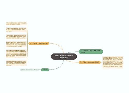 驾驶汽车不系安全带电子眼能抓到吗