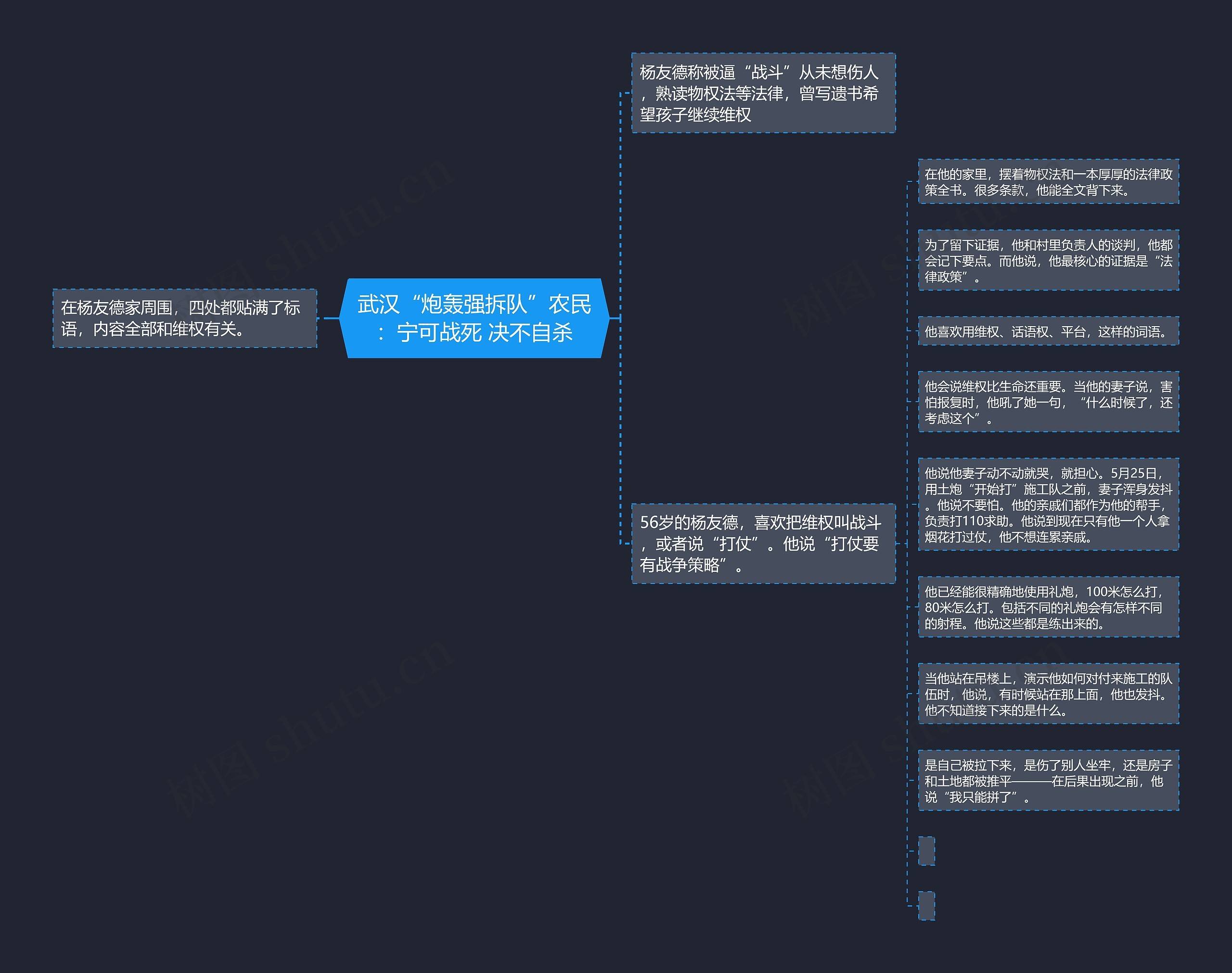 武汉“炮轰强拆队”农民：宁可战死 决不自杀思维导图