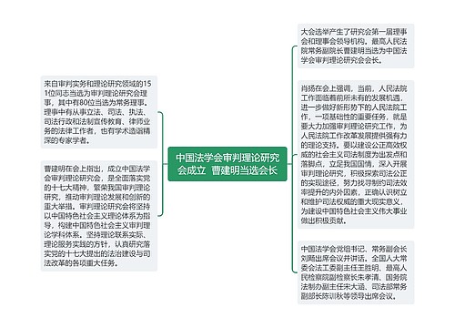 中国法学会审判理论研究会成立  曹建明当选会长