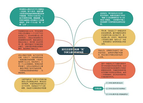 湖北法官穿法袍举“冤”字牌为妻维权被免职