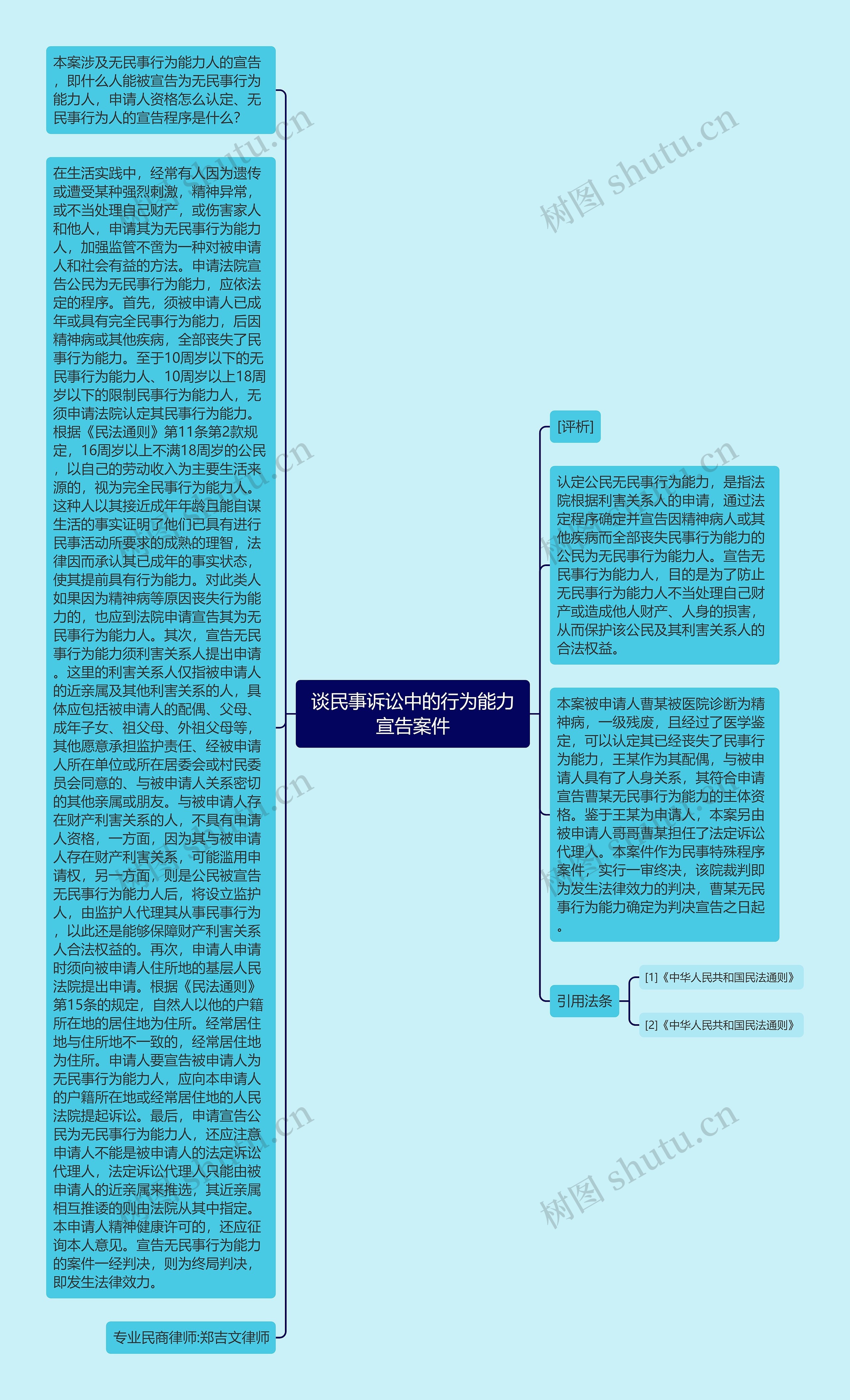 谈民事诉讼中的行为能力宣告案件