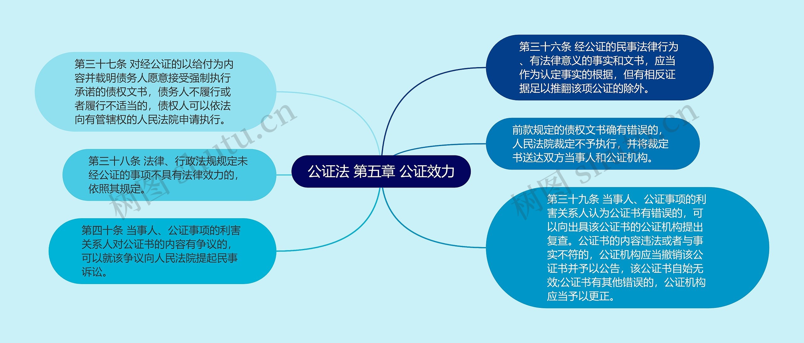 公证法 第五章 公证效力