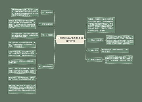 公共基础知识考点:民事诉讼的原则