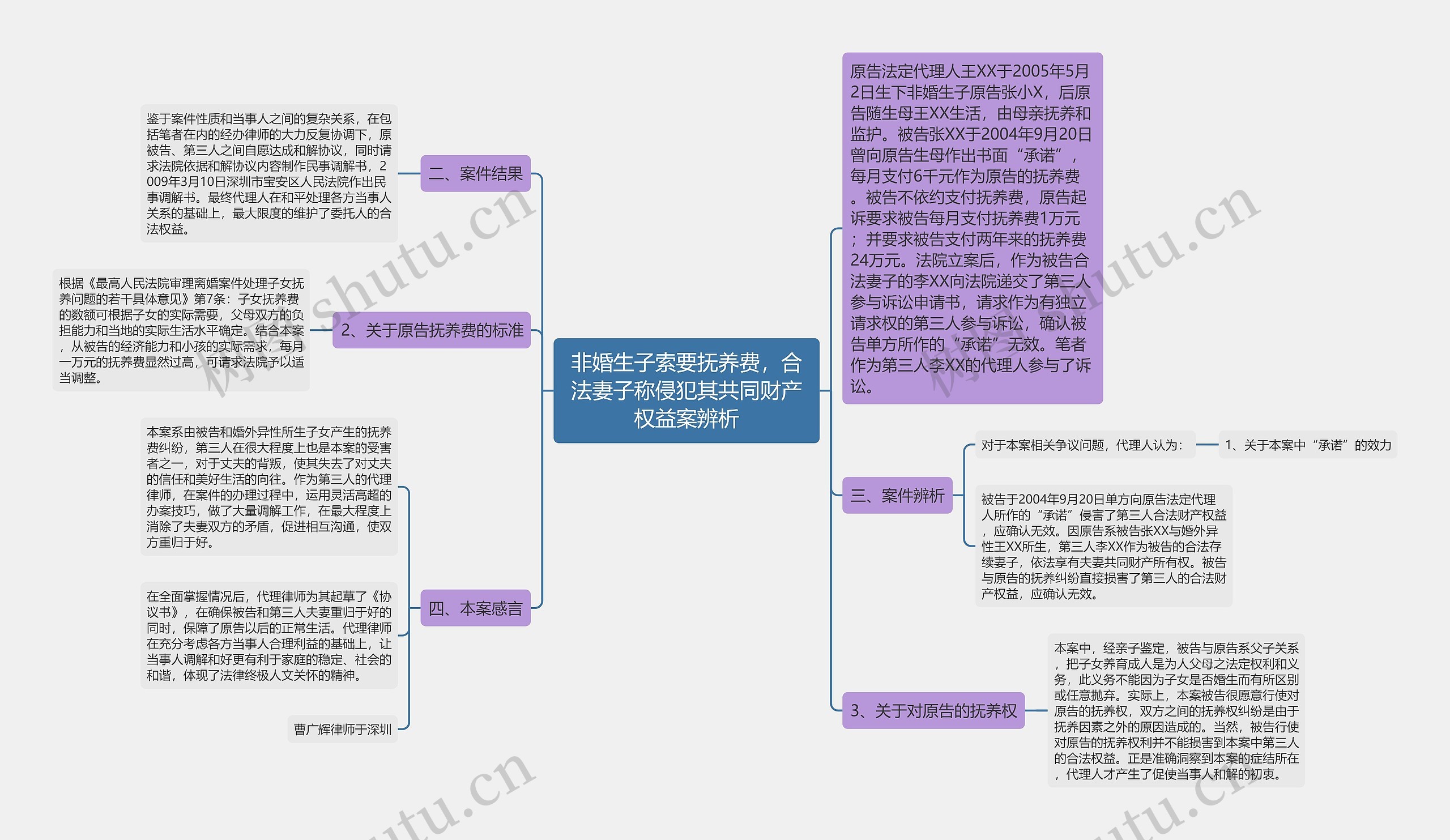 非婚生子索要抚养费，合法妻子称侵犯其共同财产权益案辨析思维导图