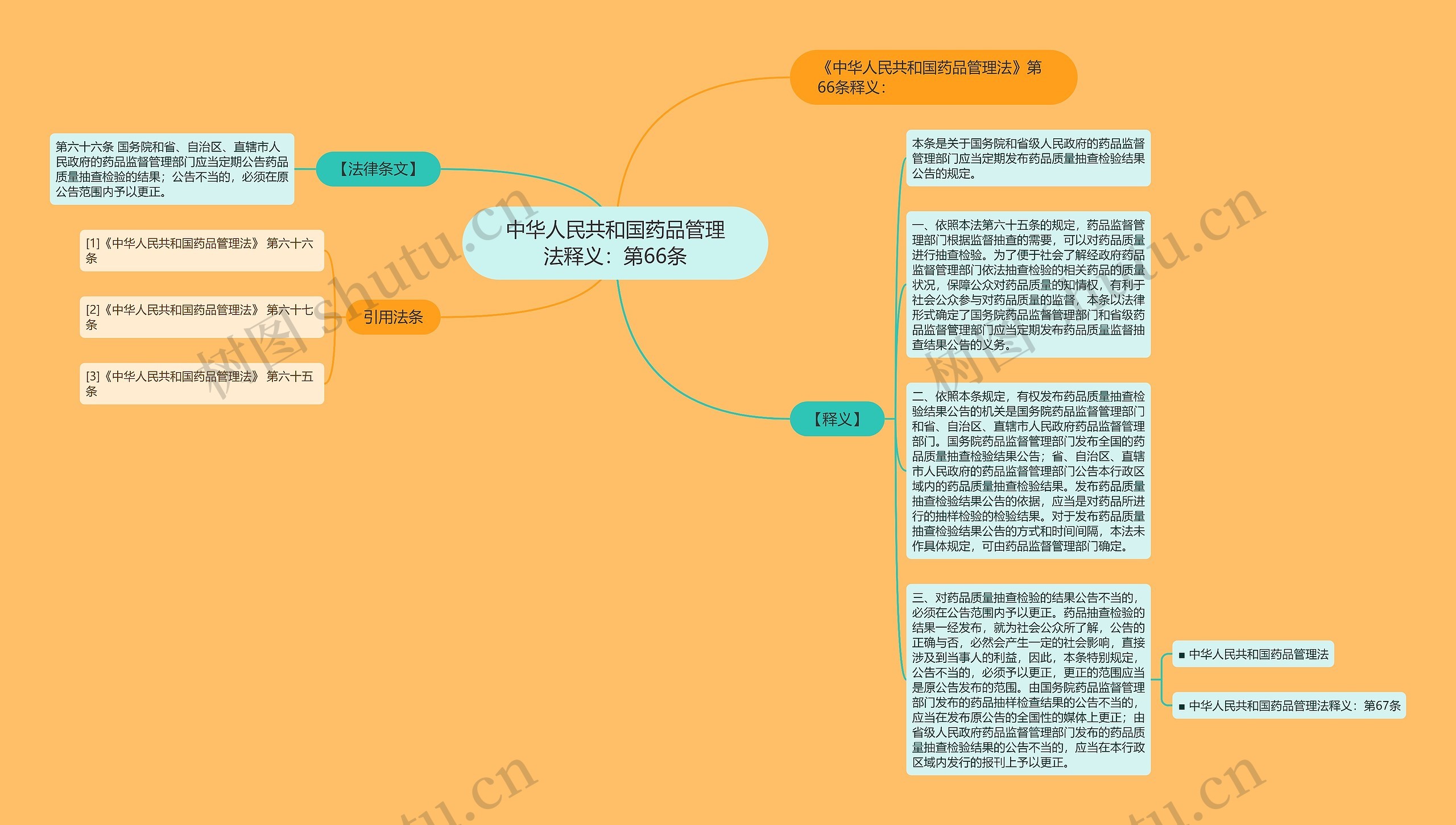 中华人民共和国药品管理法释义：第66条思维导图