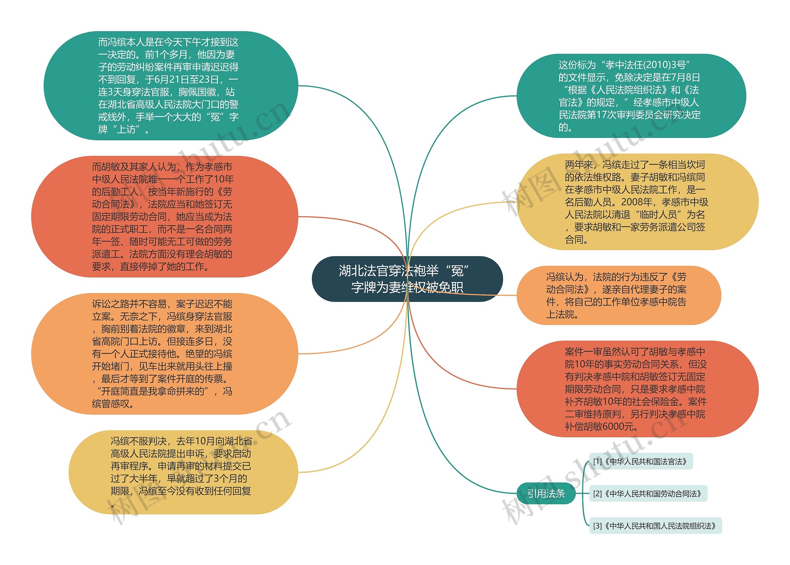 湖北法官穿法袍举“冤”字牌为妻维权被免职