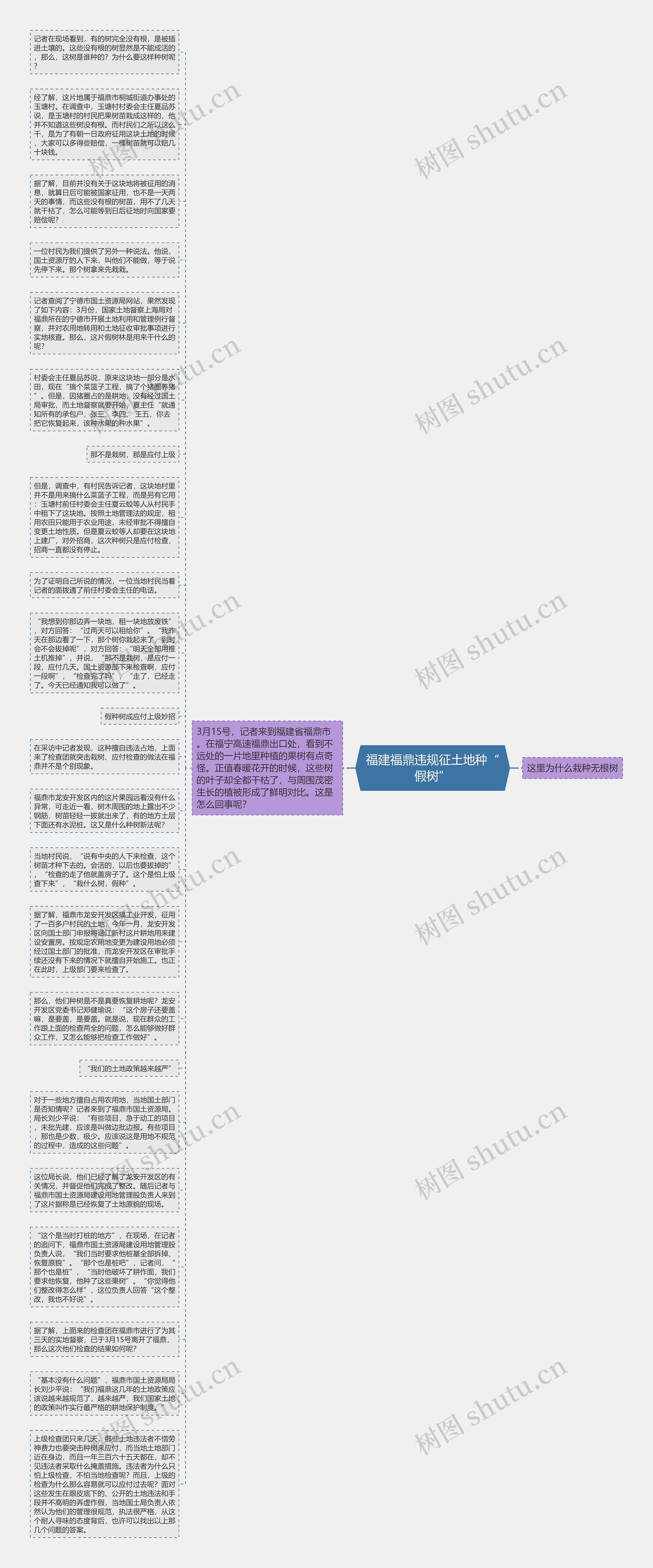 福建福鼎违规征土地种“假树”思维导图