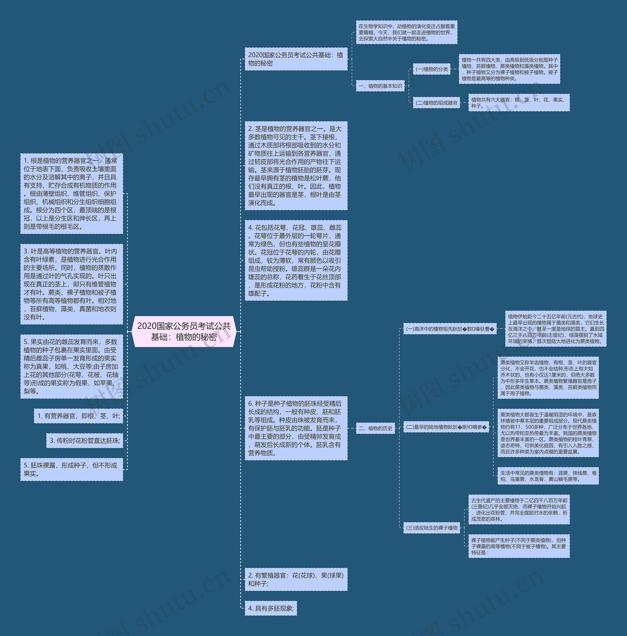 2020国家公务员考试公共基础：植物的秘密思维导图