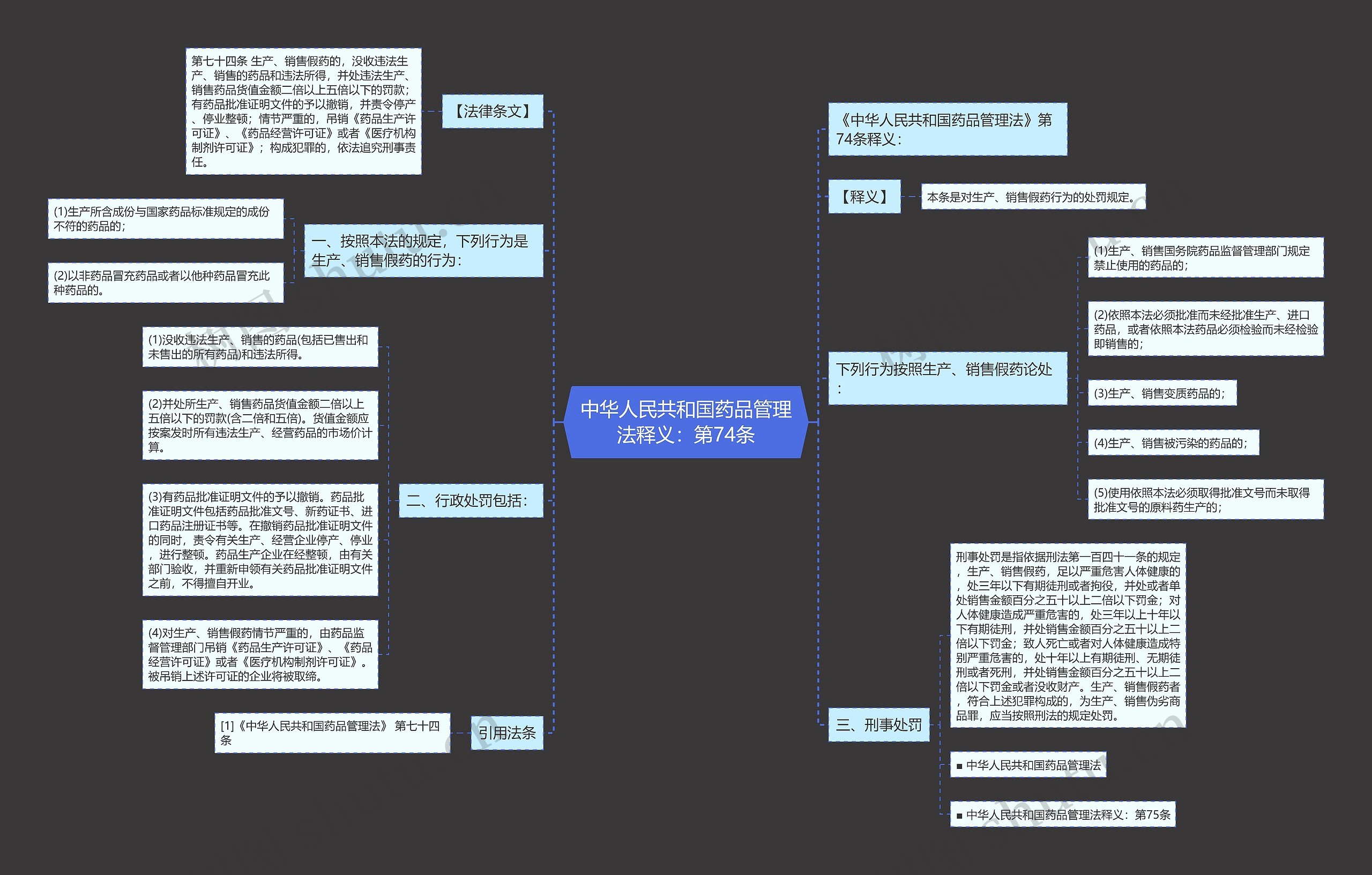 中华人民共和国药品管理法释义：第74条