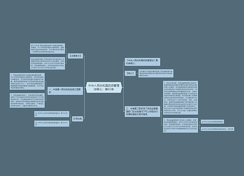 中华人民共和国药品管理法释义：第65条