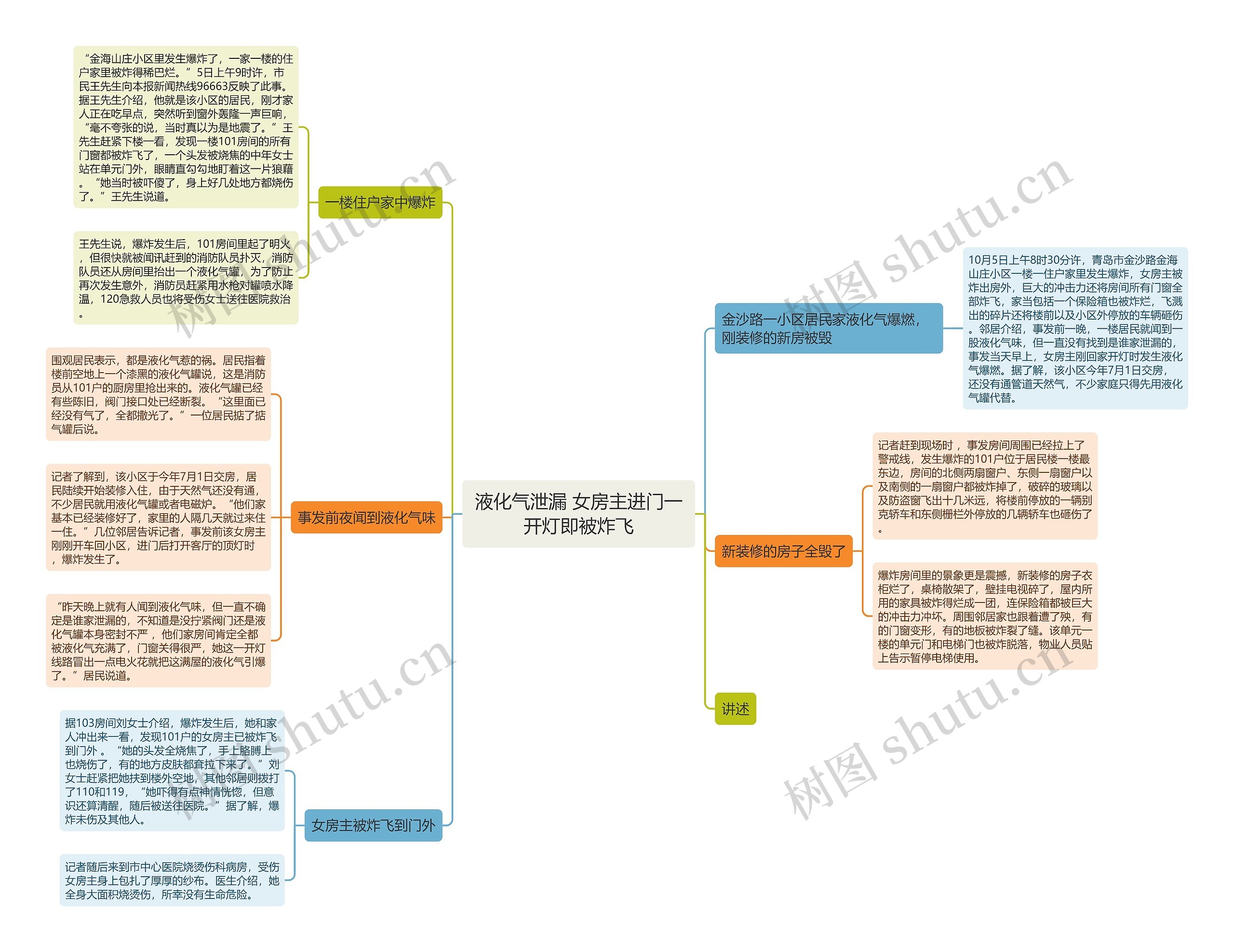 液化气泄漏 女房主进门一开灯即被炸飞思维导图