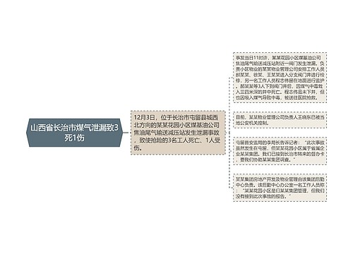 山西省长治市煤气泄漏致3死1伤