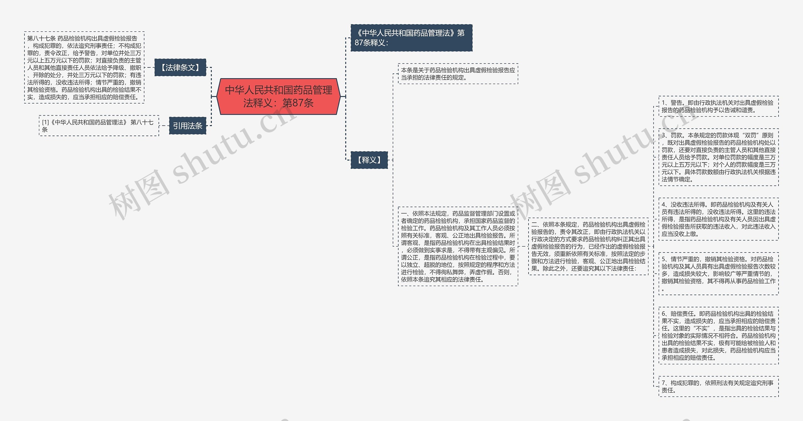 中华人民共和国药品管理法释义：第87条