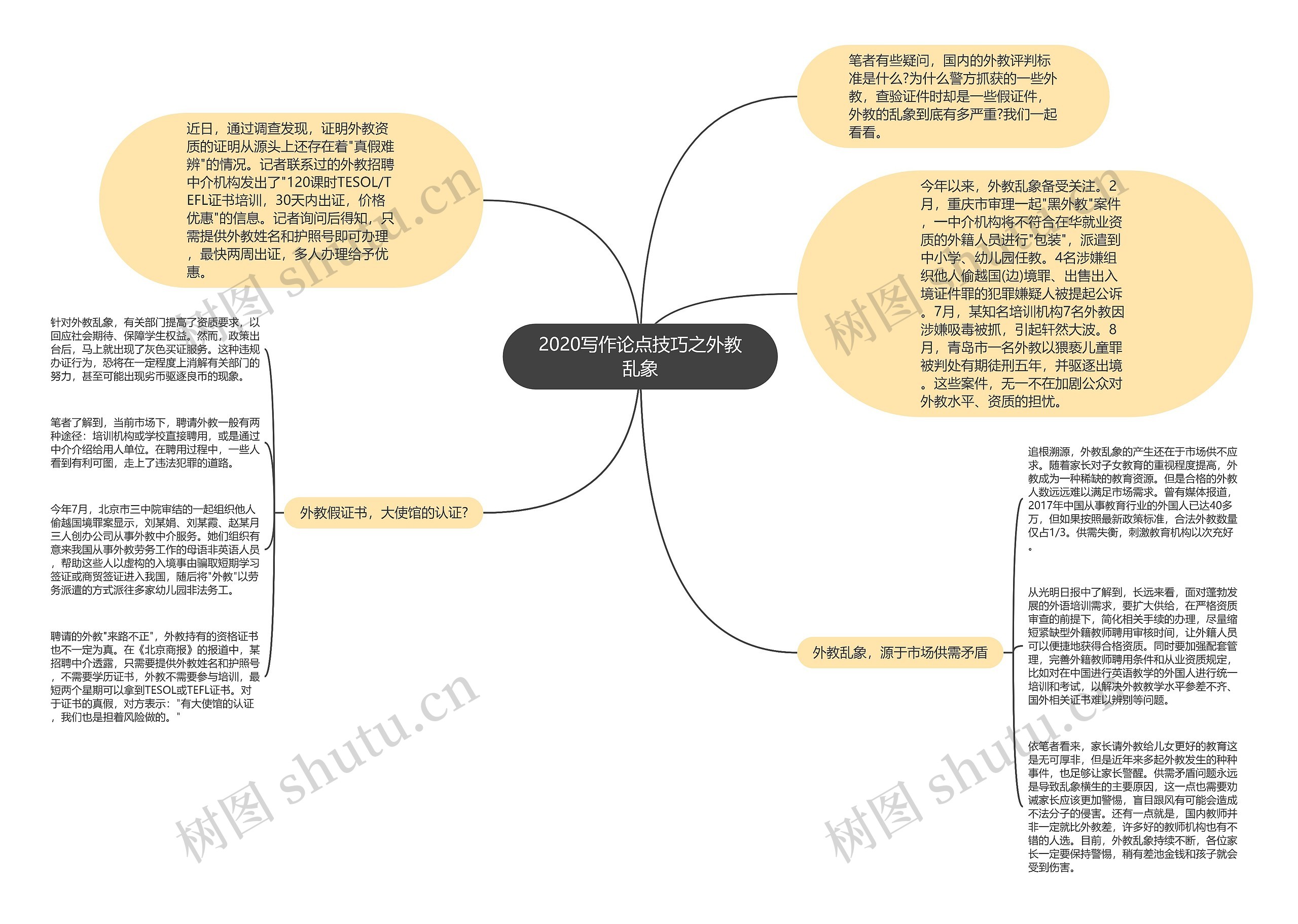 2020写作论点技巧之外教乱象