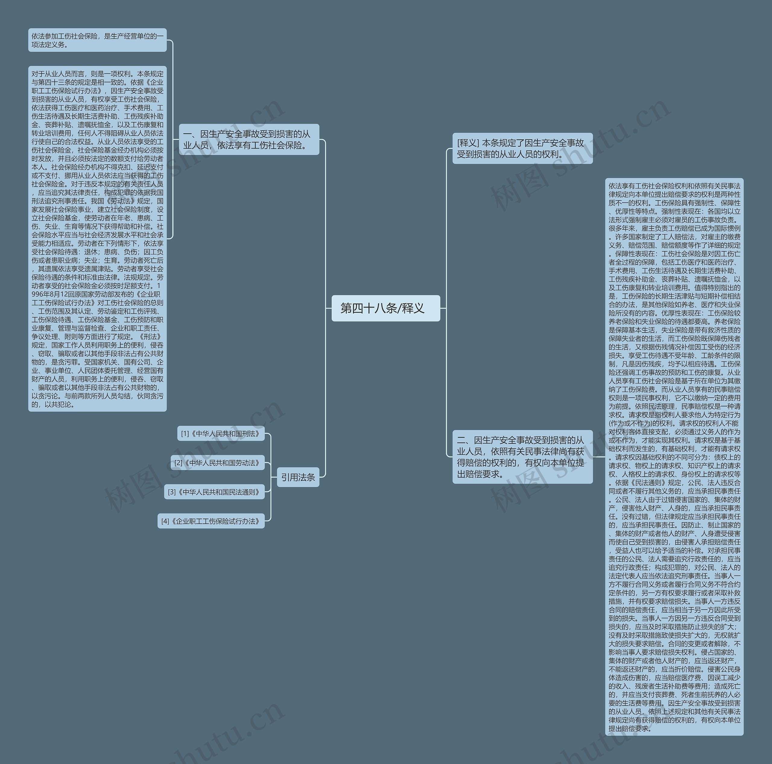 第四十八条/释义   思维导图