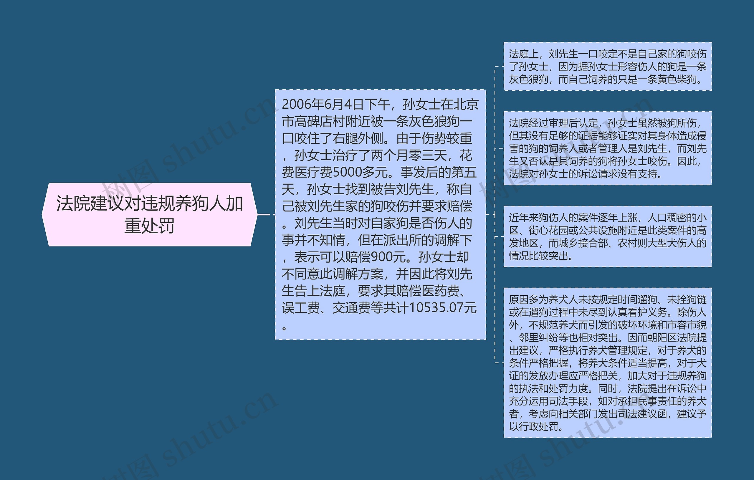 法院建议对违规养狗人加重处罚思维导图