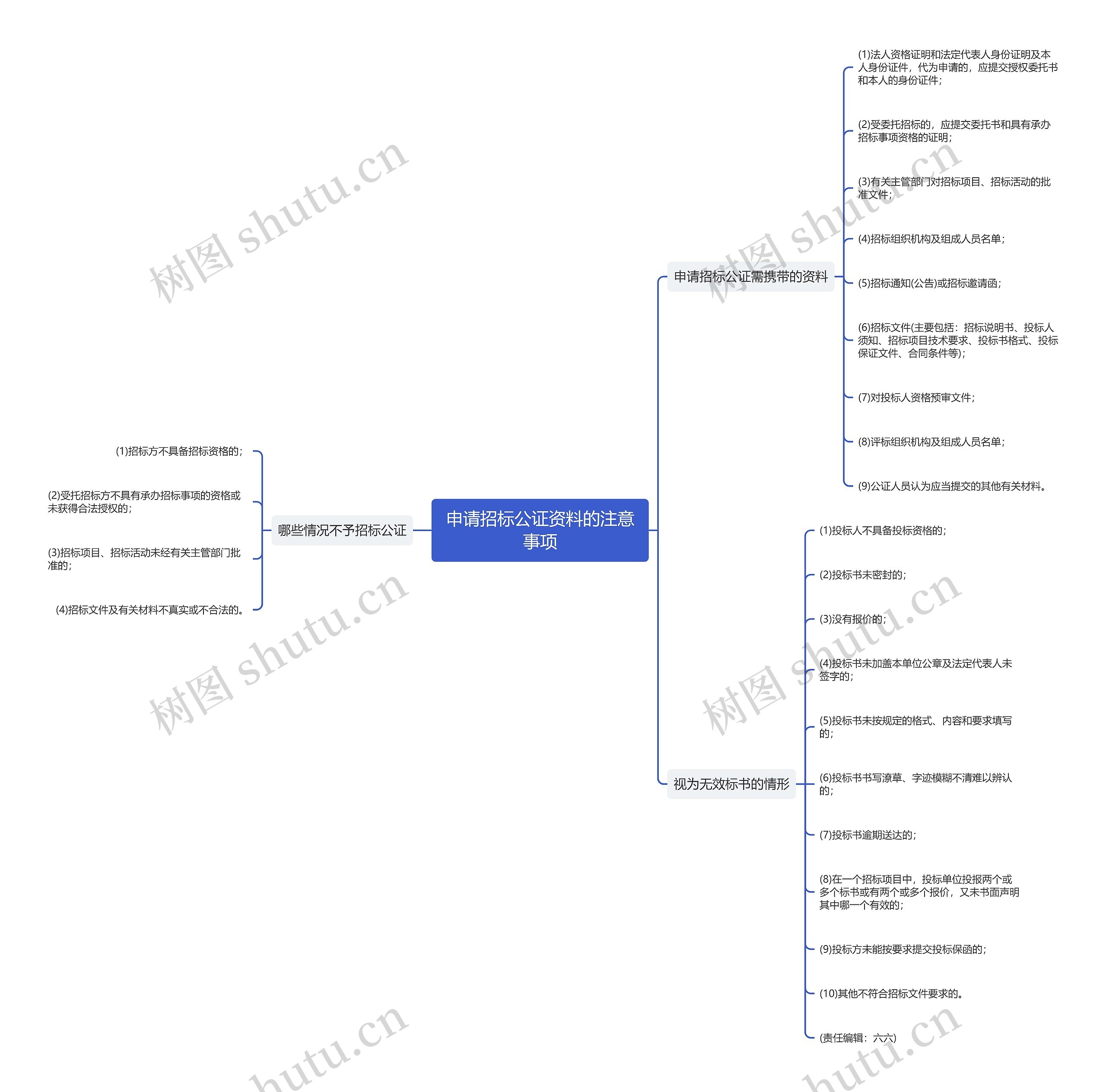 申请招标公证资料的注意事项思维导图