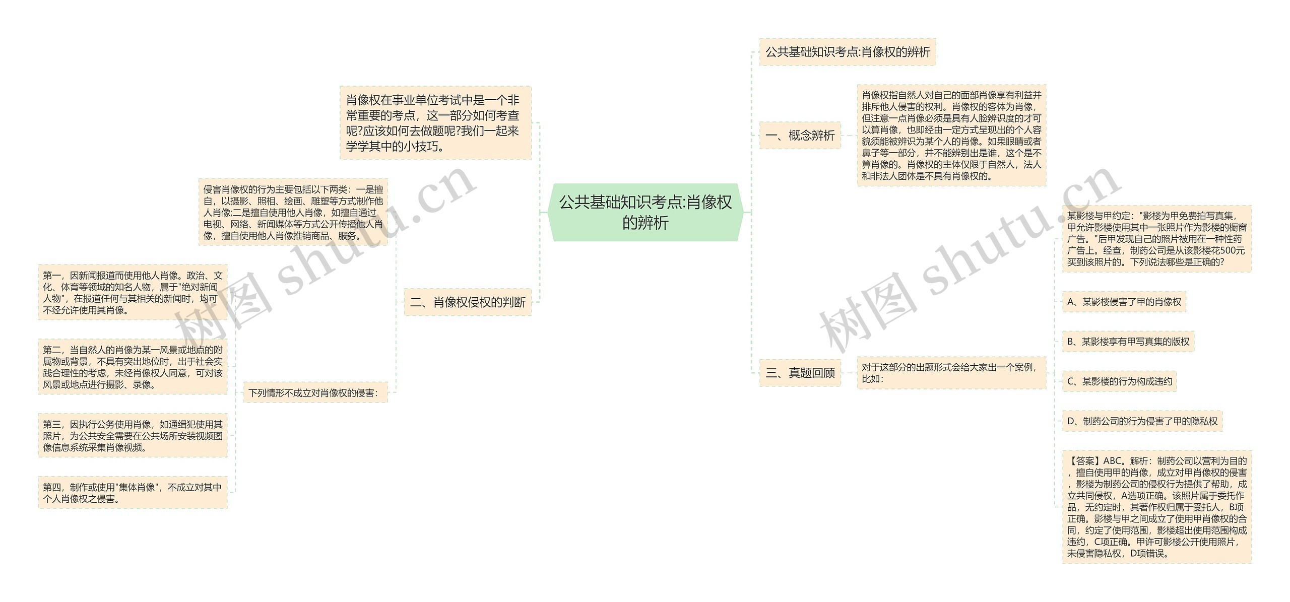 公共基础知识考点:肖像权的辨析