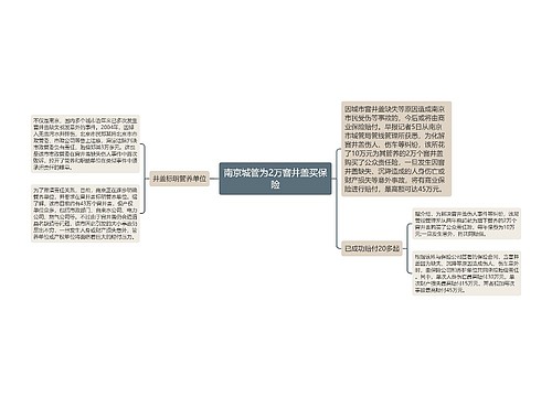 南京城管为2万窨井盖买保险