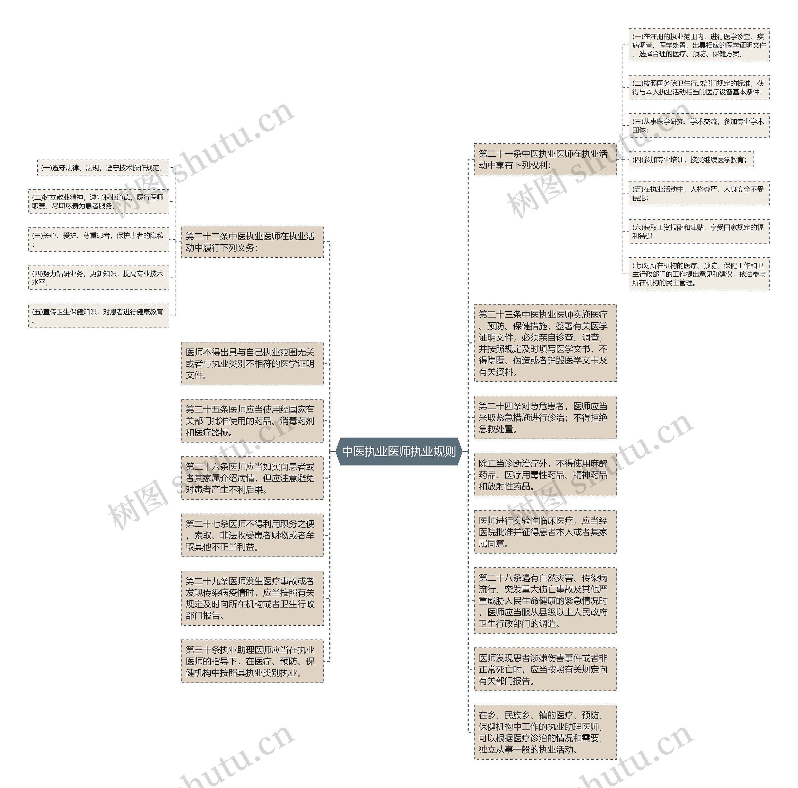 中医执业医师执业规则思维导图