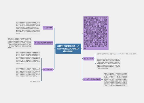 非婚生子索要抚养费，合法妻子称侵犯其共同财产权益案辨析