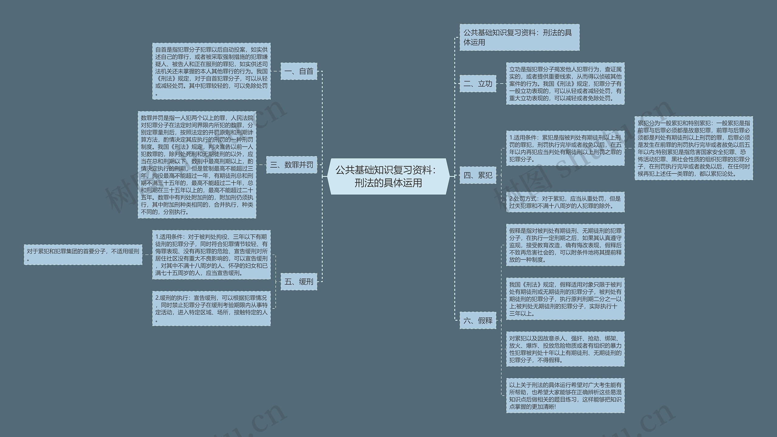 公共基础知识复习资料：刑法的具体运用