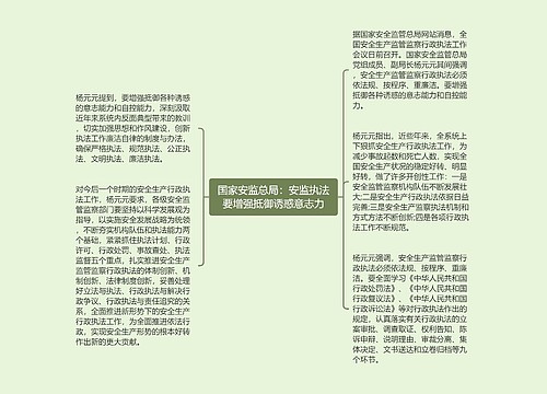 国家安监总局：安监执法要增强抵御诱惑意志力