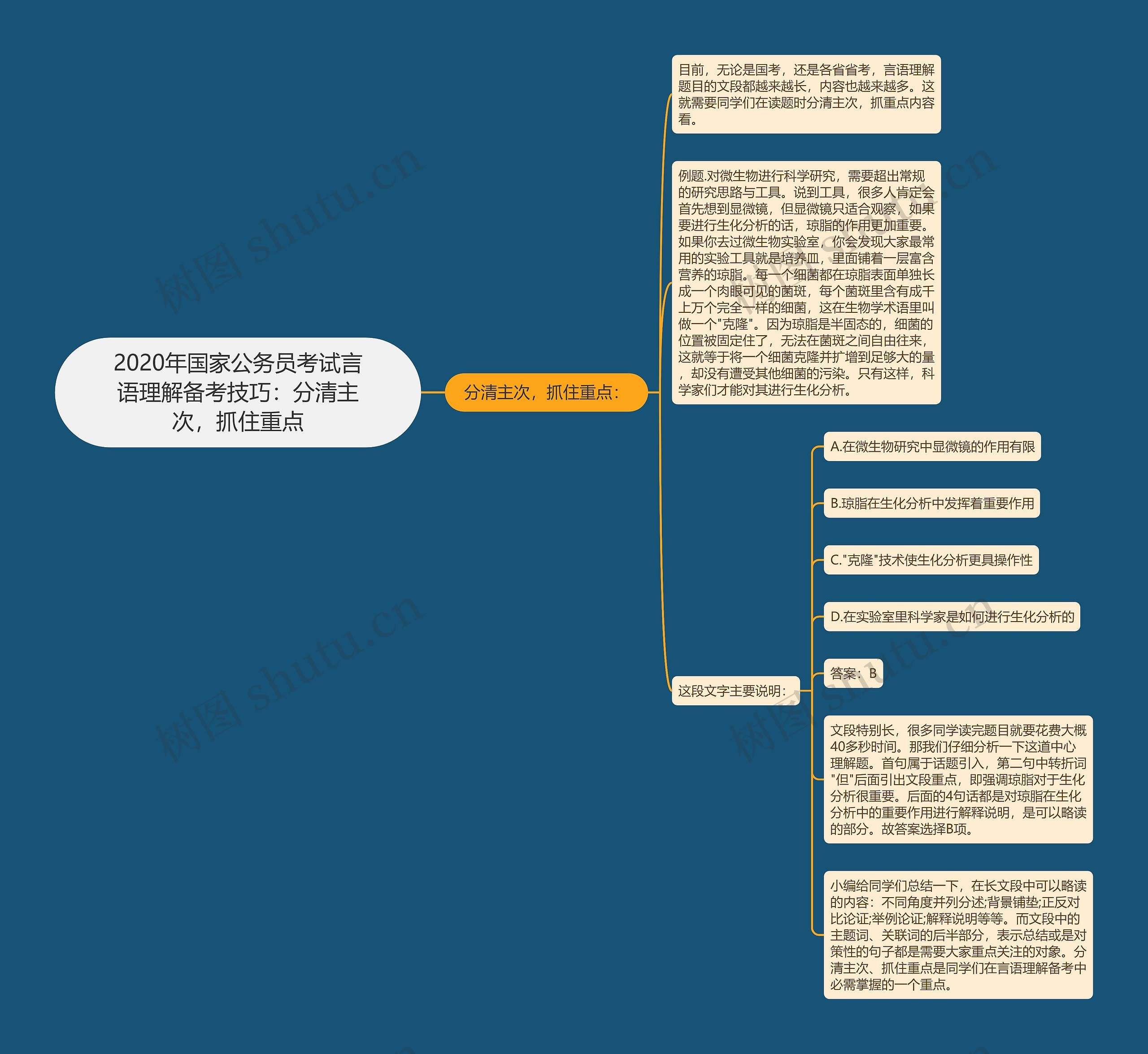 2020年国家公务员考试言语理解备考技巧：分清主次，抓住重点