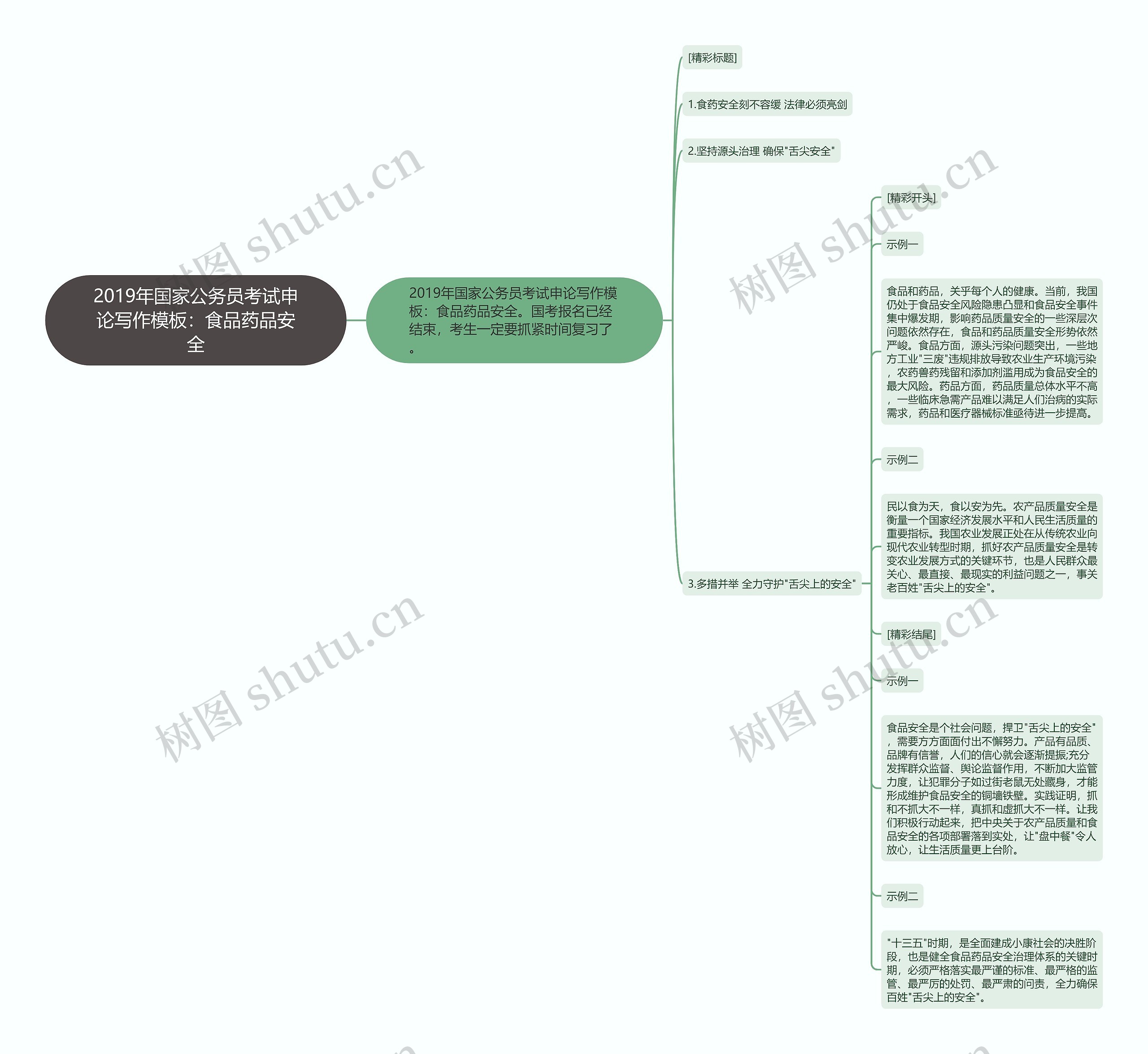 2019年国家公务员考试申论写作：食品药品安全思维导图
