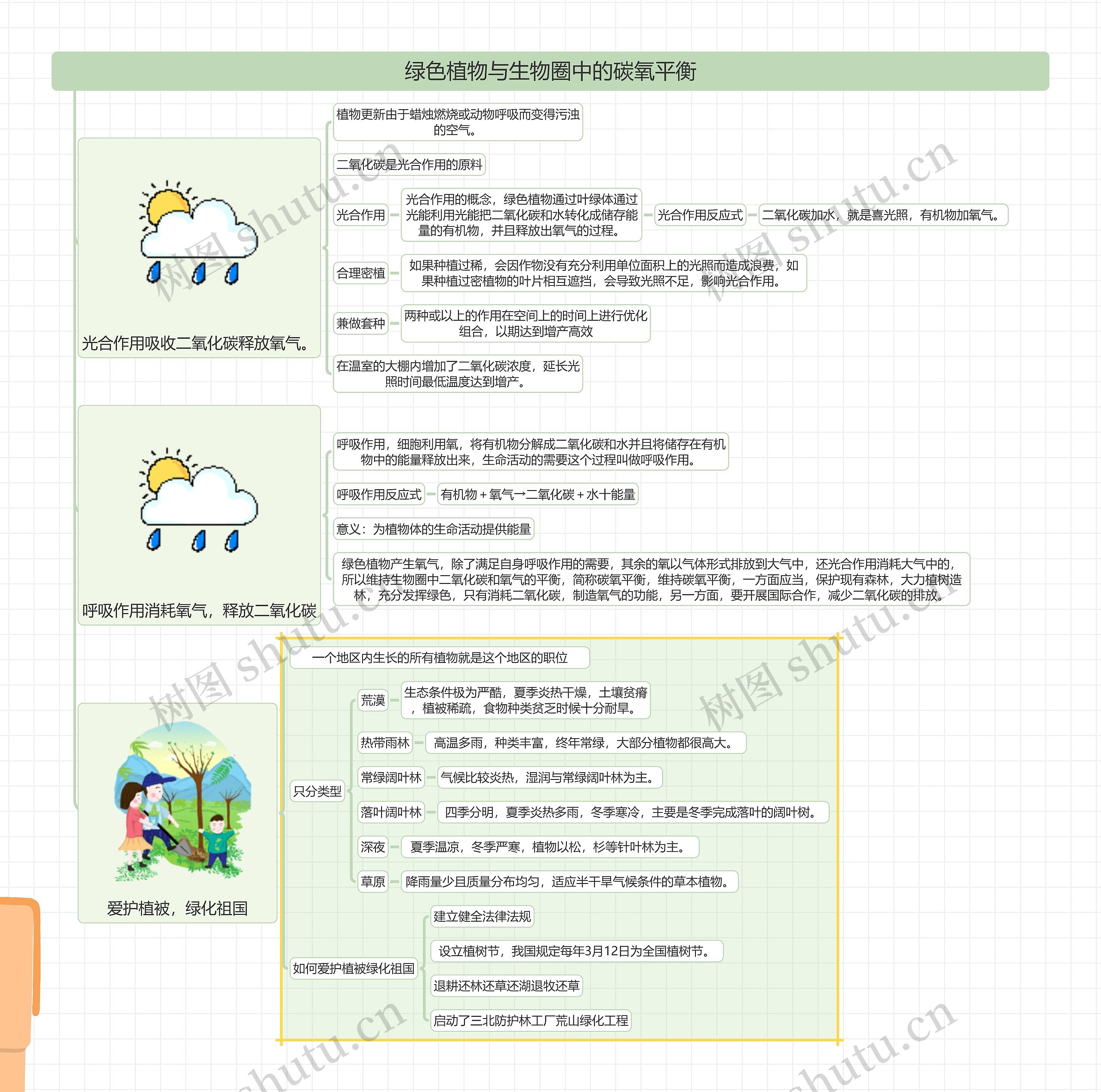 绿色植物与生物圈中的碳氧平衡