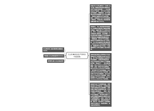 《山东省安全生产条例》今起实施