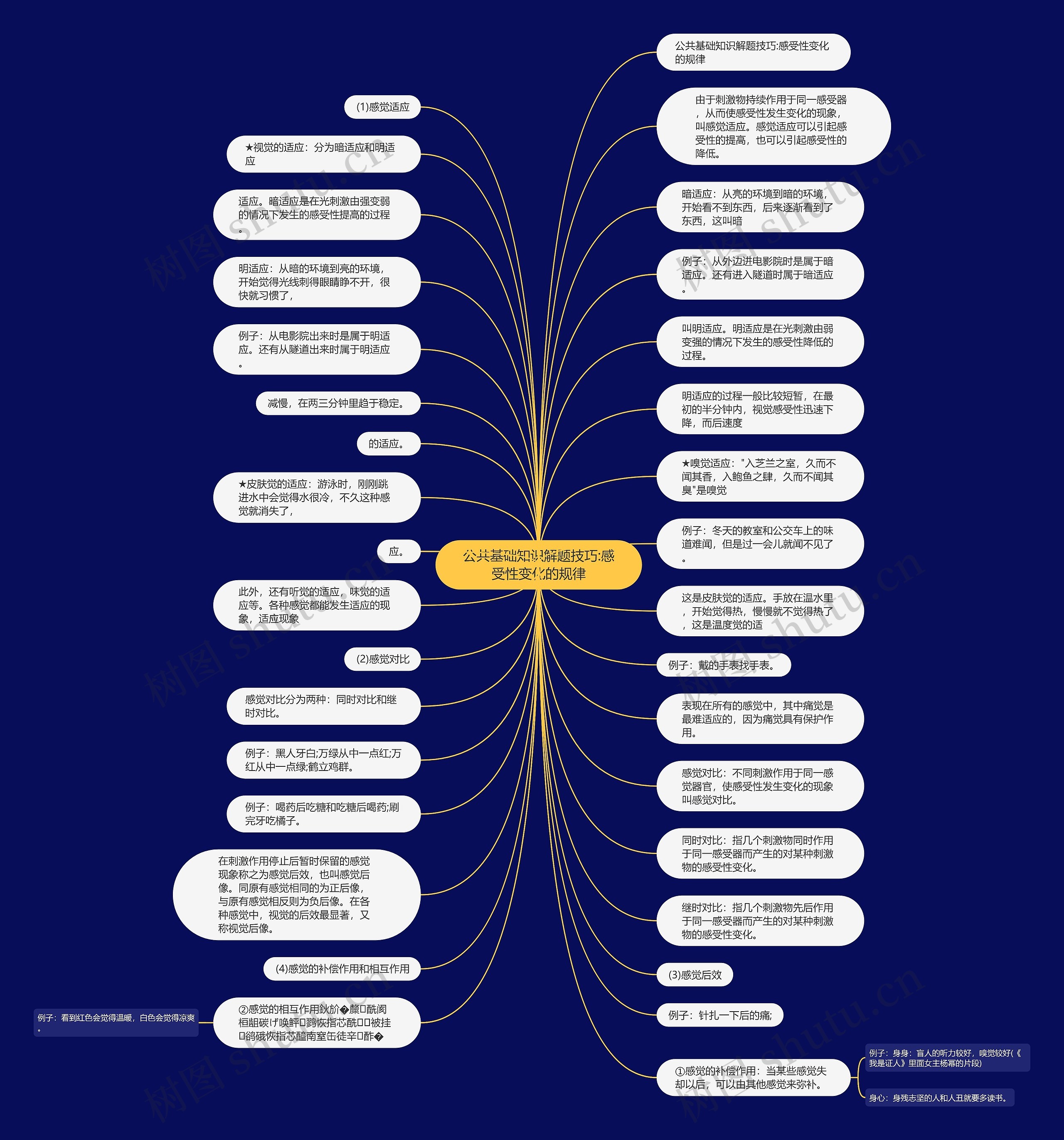 公共基础知识解题技巧:感受性变化的规律思维导图