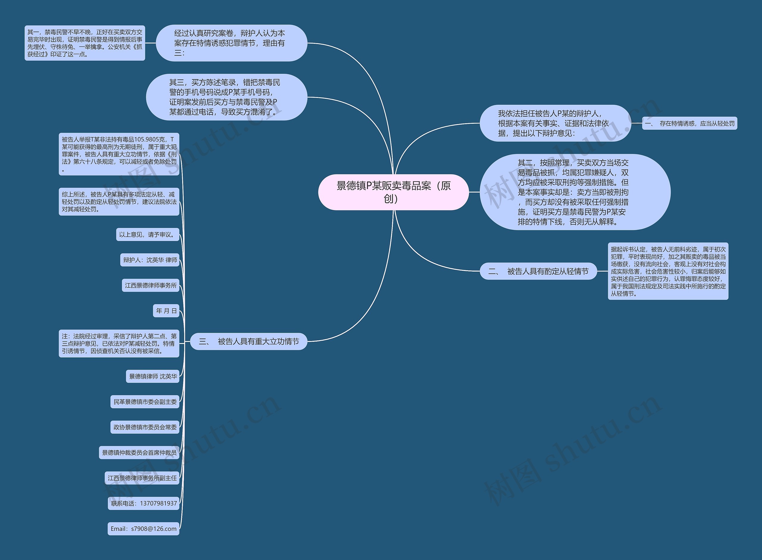景德镇P某贩卖毒品案（原创）思维导图
