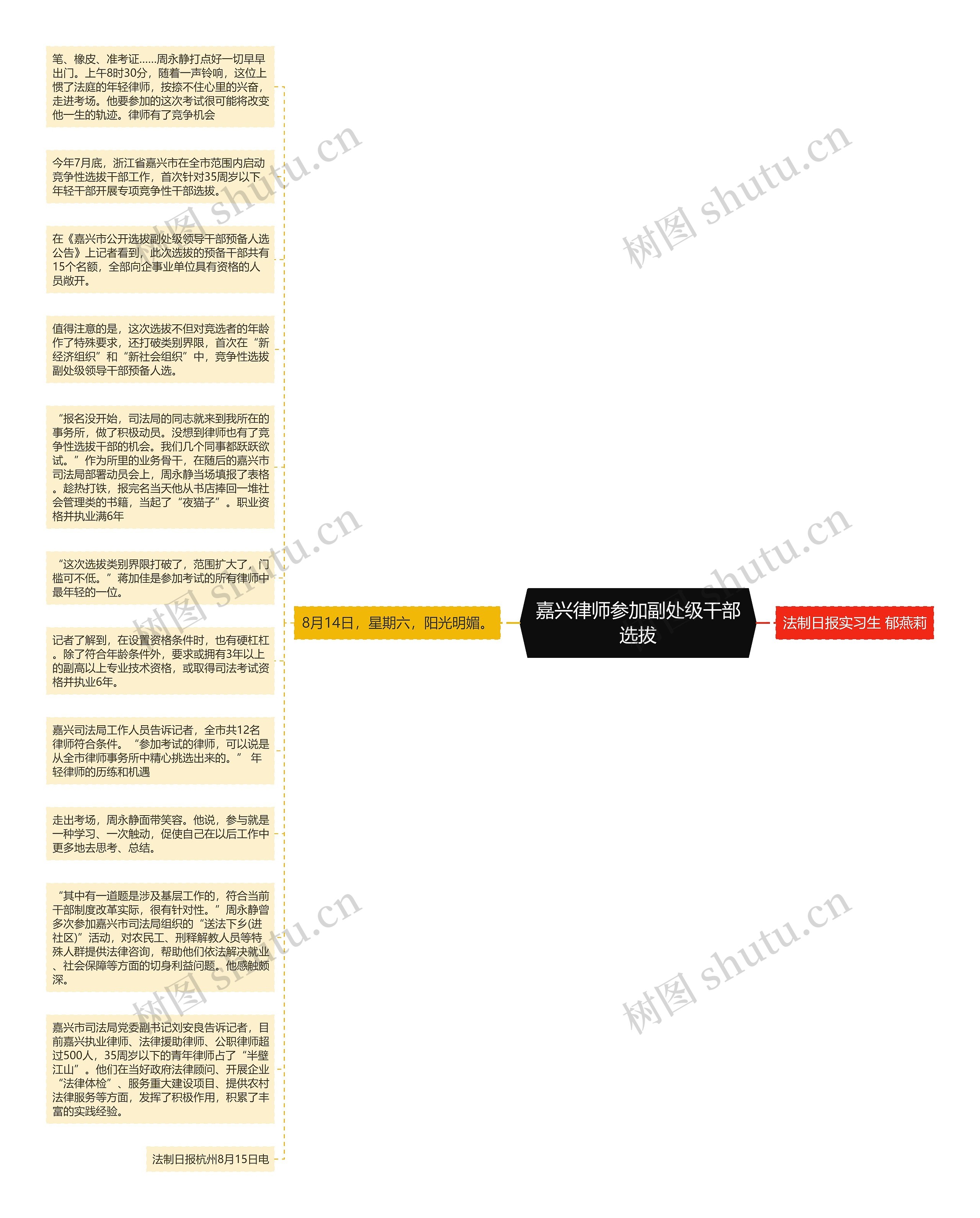 嘉兴律师参加副处级干部选拔思维导图