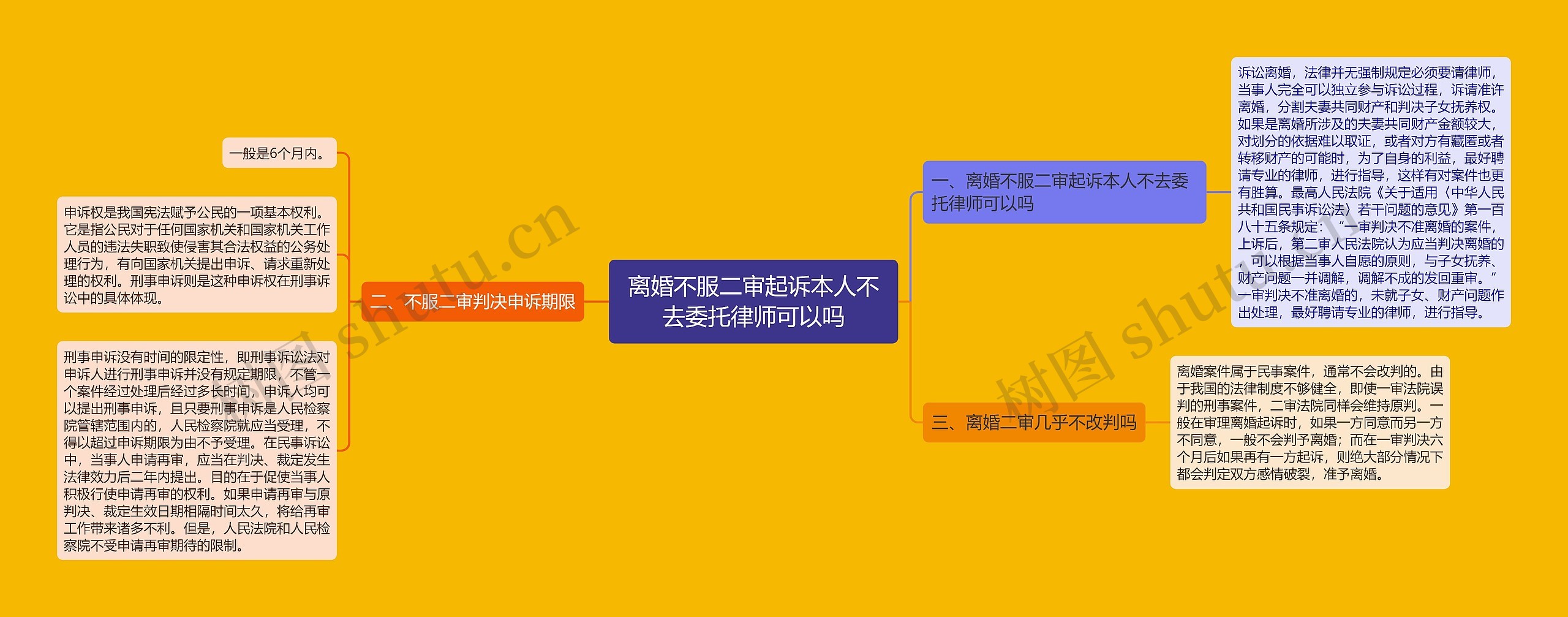 离婚不服二审起诉本人不去委托律师可以吗思维导图