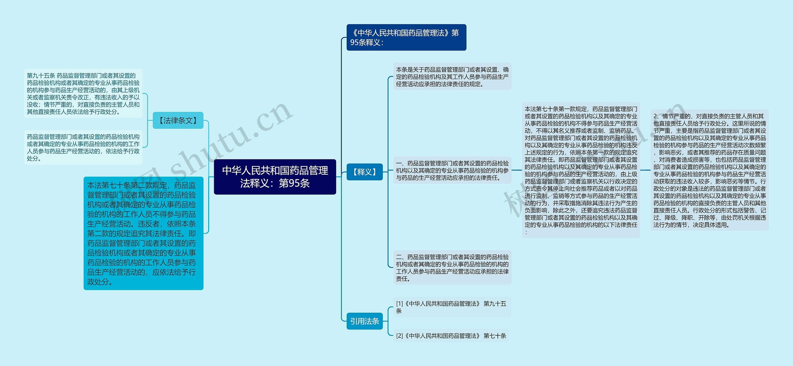 中华人民共和国药品管理法释义：第95条思维导图