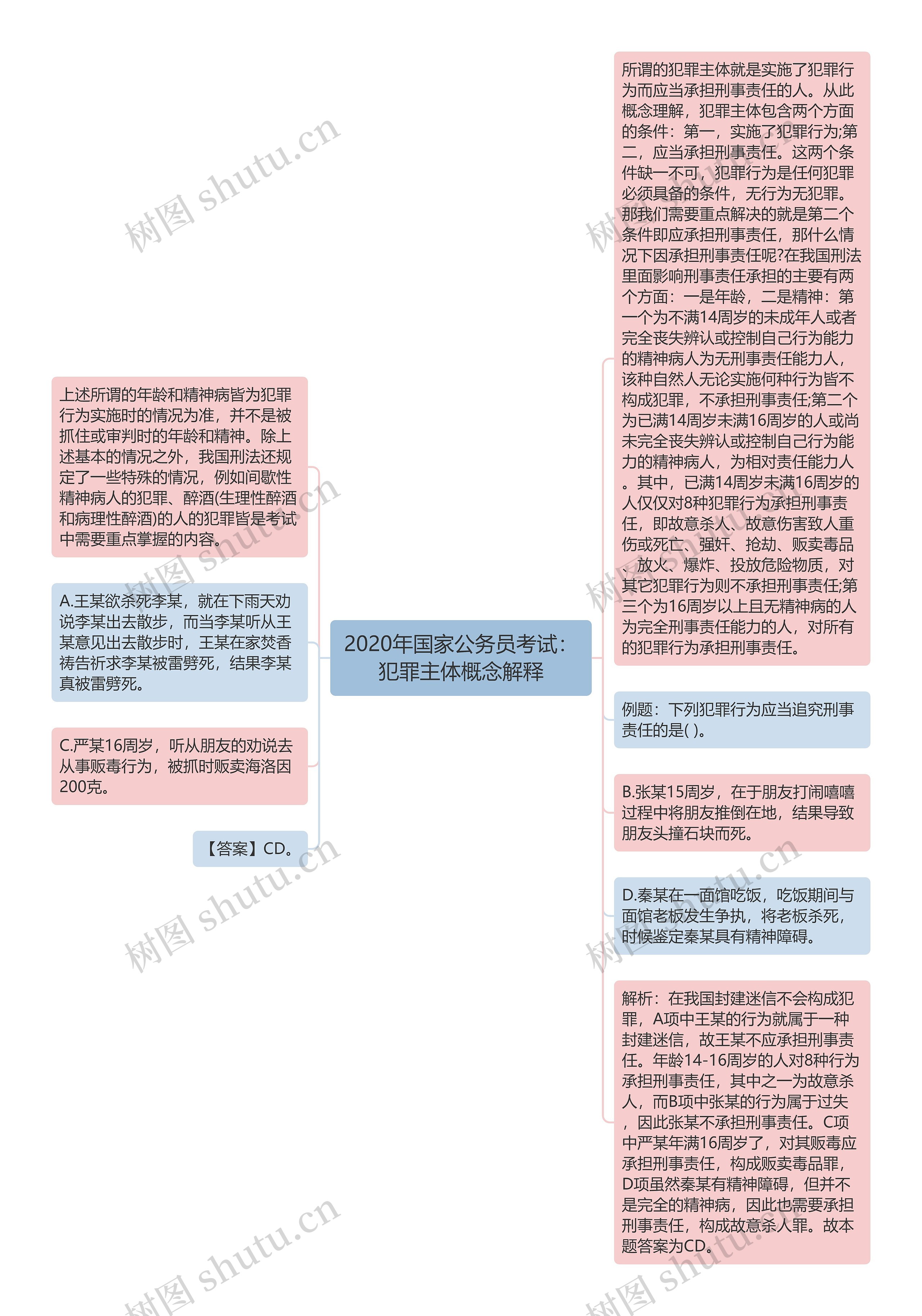 2020年国家公务员考试：犯罪主体概念解释思维导图