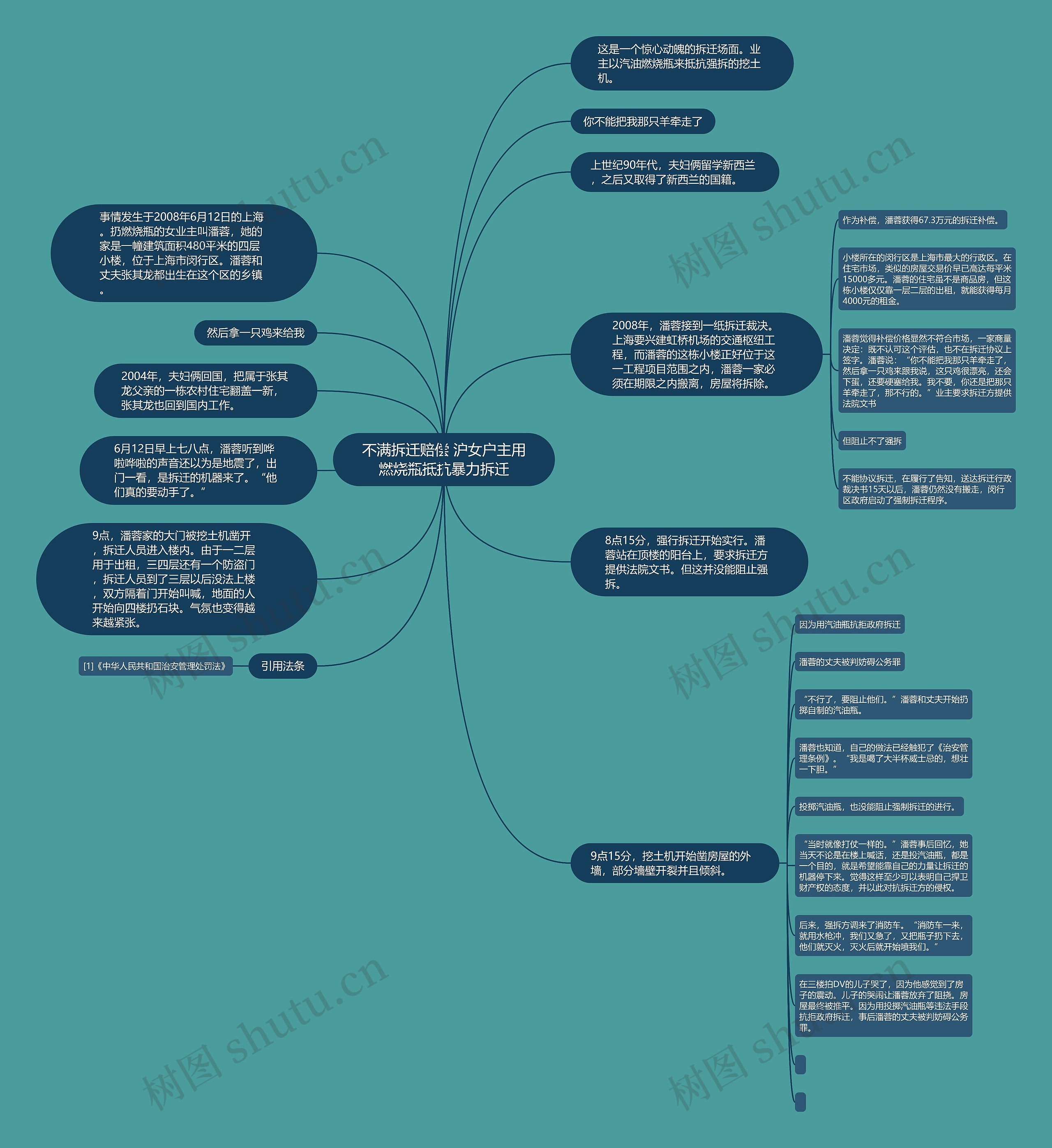 不满拆迁赔偿 沪女户主用燃烧瓶抵抗暴力拆迁思维导图
