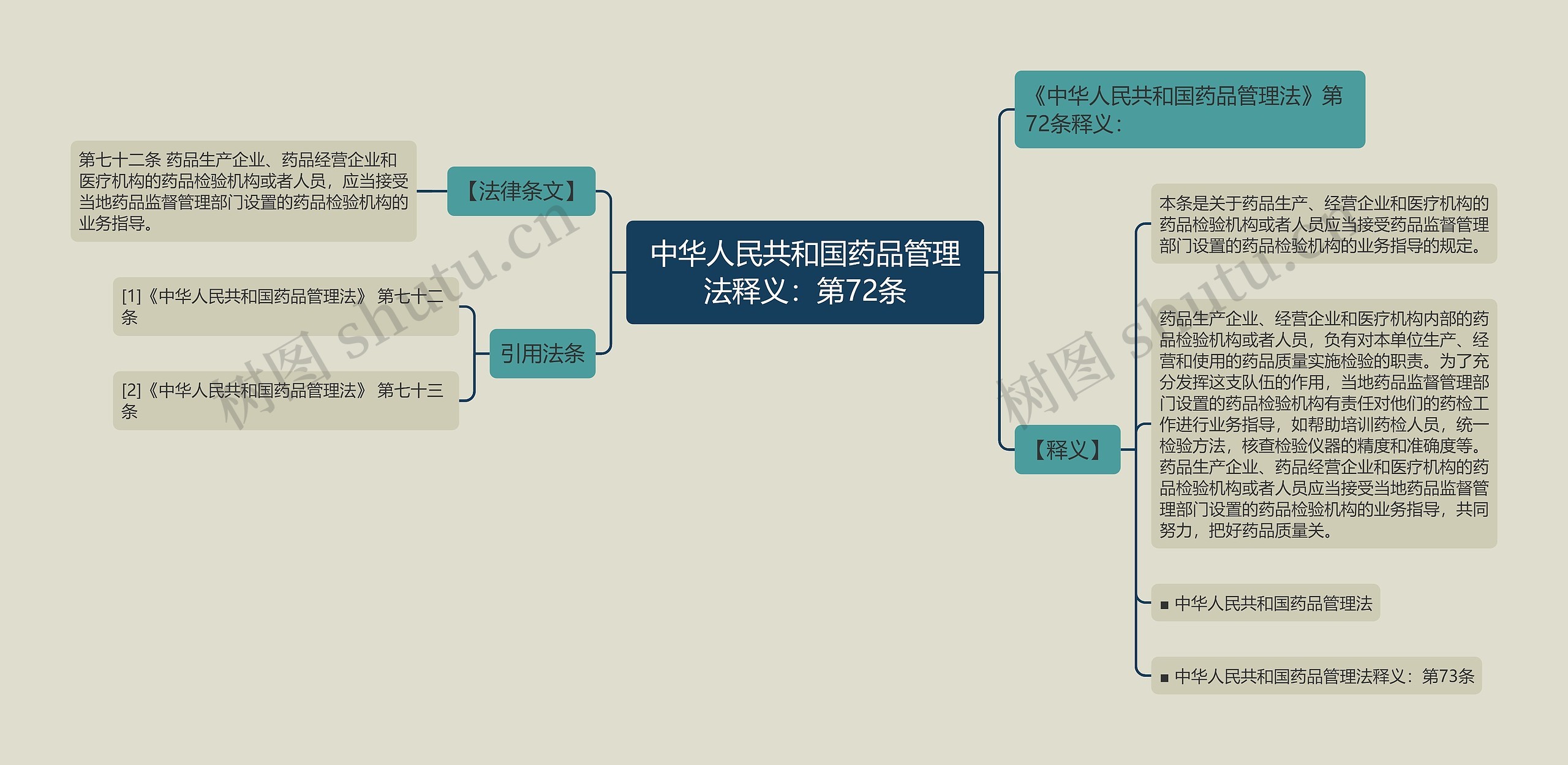 中华人民共和国药品管理法释义：第72条思维导图