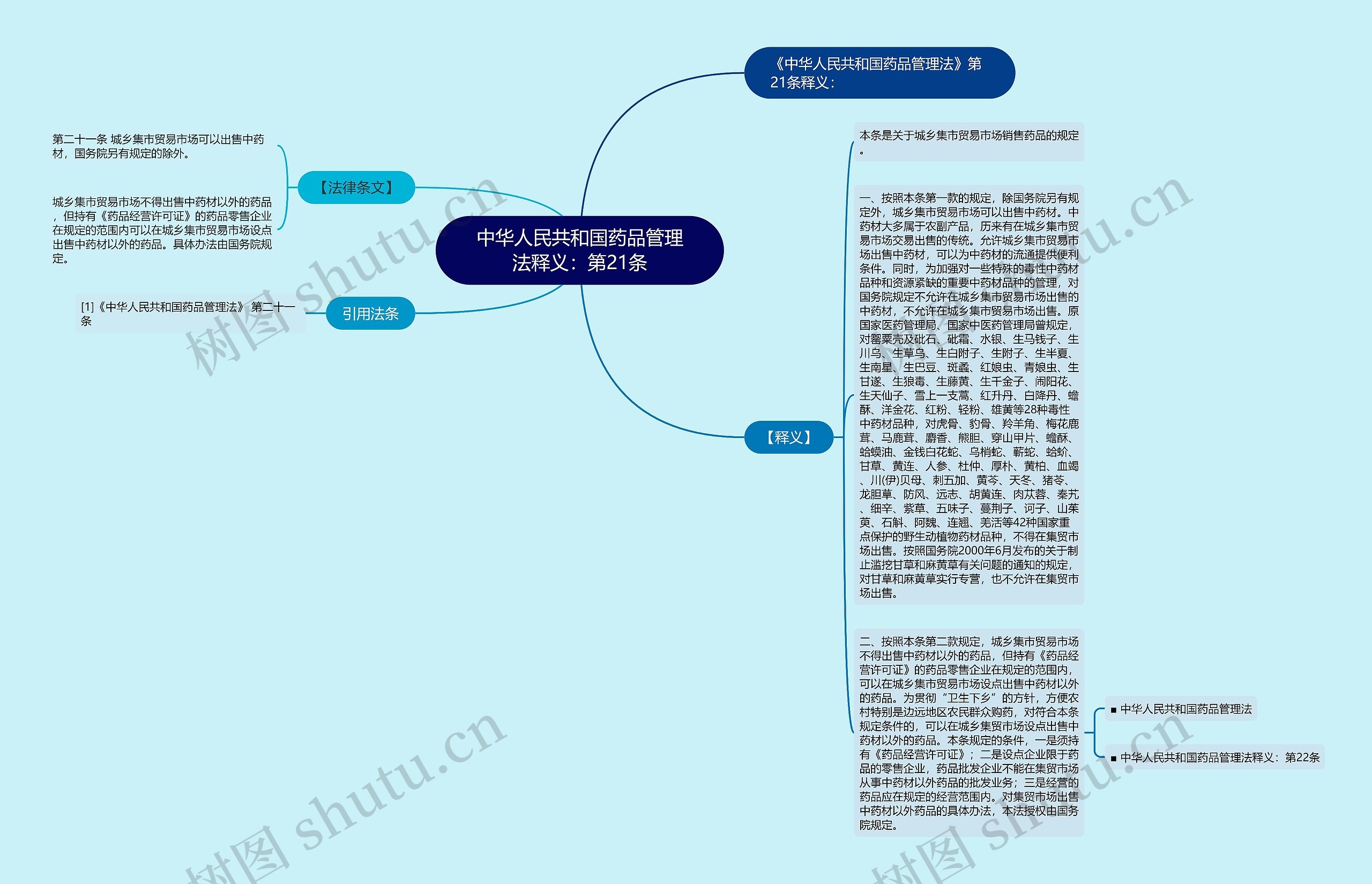 中华人民共和国药品管理法释义：第21条思维导图