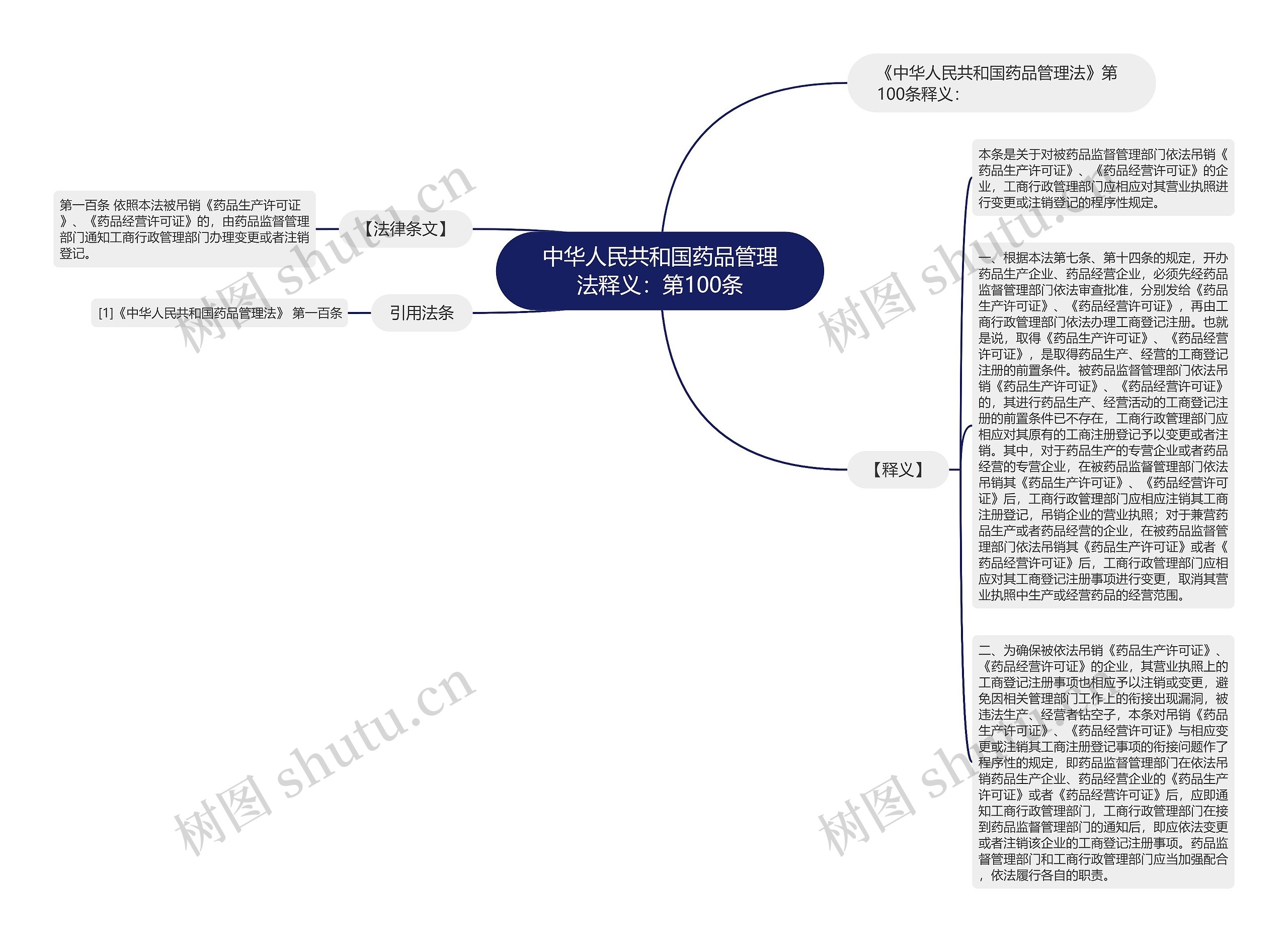 中华人民共和国药品管理法释义：第100条