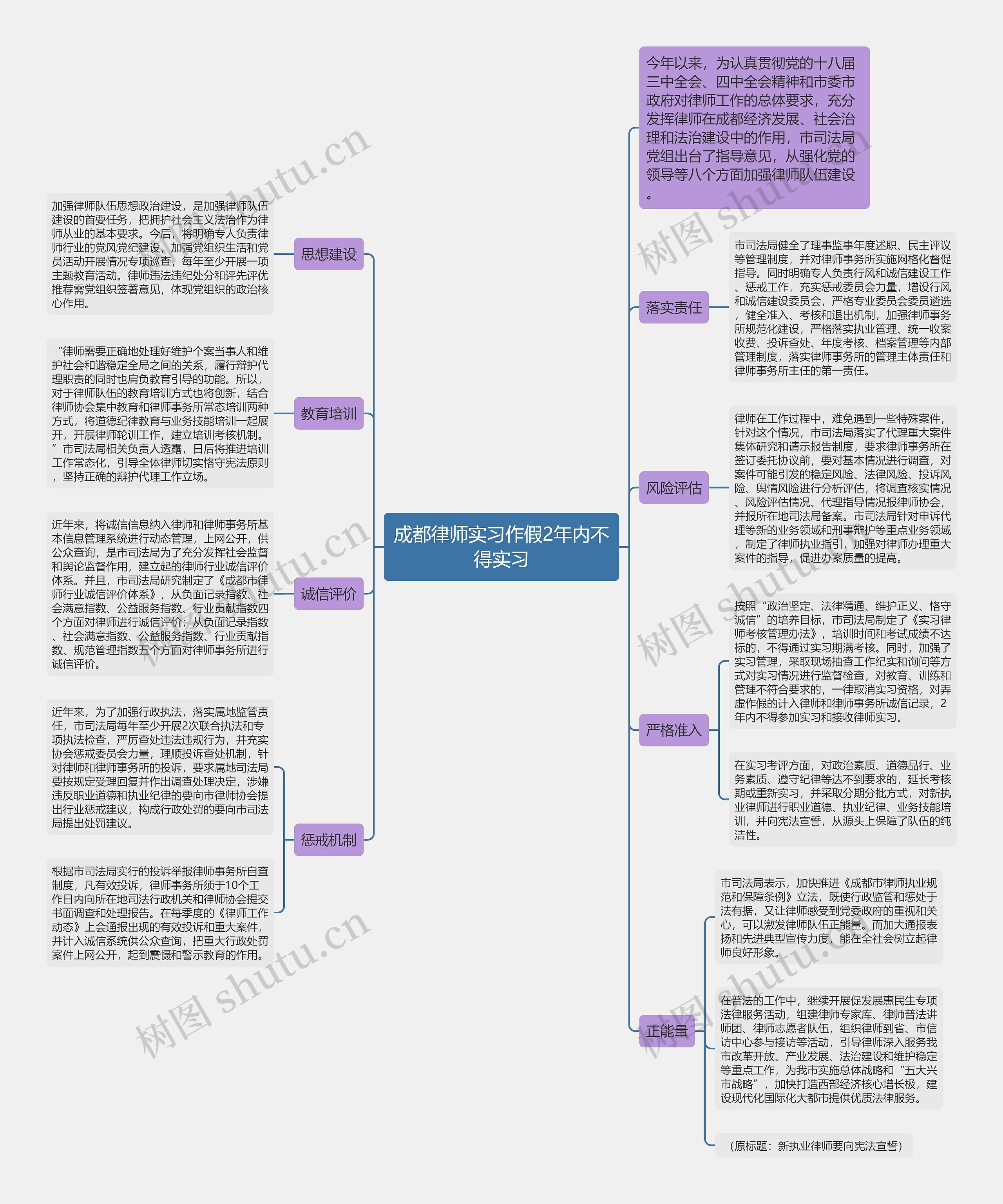 成都律师实习作假2年内不得实习思维导图