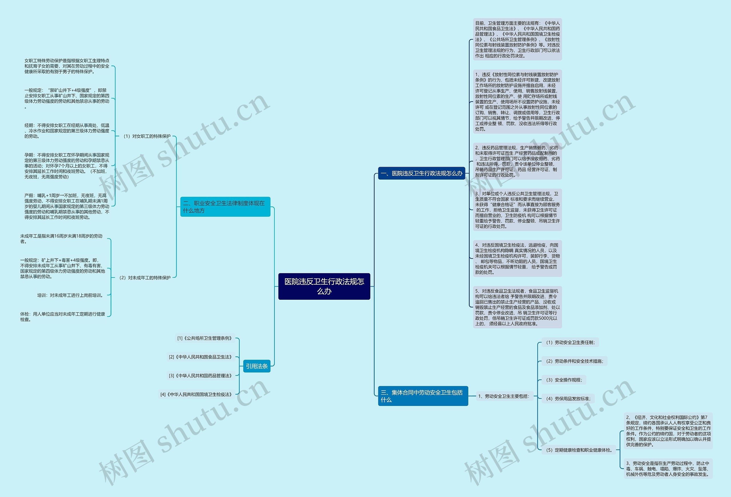 医院违反卫生行政法规怎么办思维导图