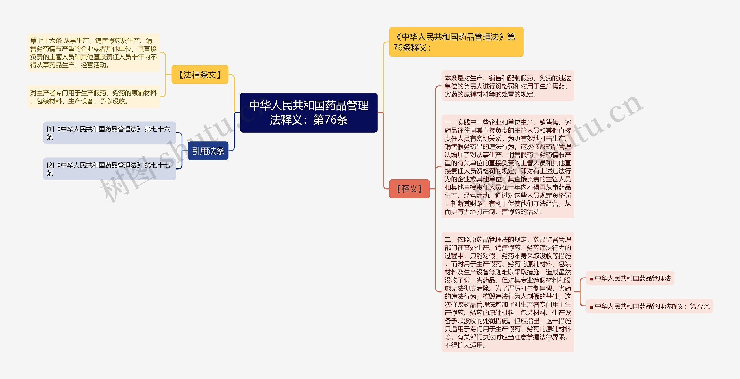 中华人民共和国药品管理法释义：第76条