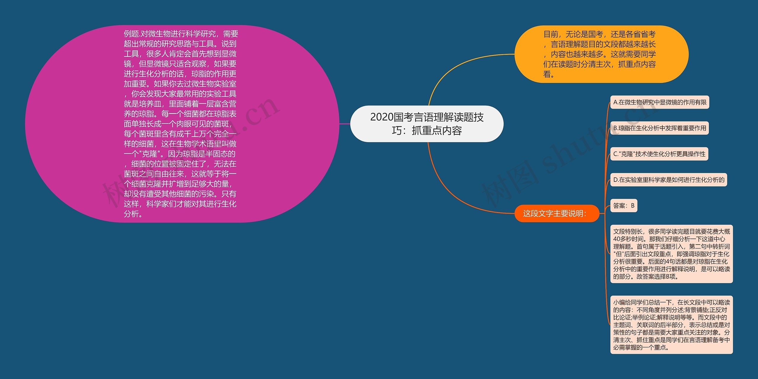 2020国考言语理解读题技巧：抓重点内容