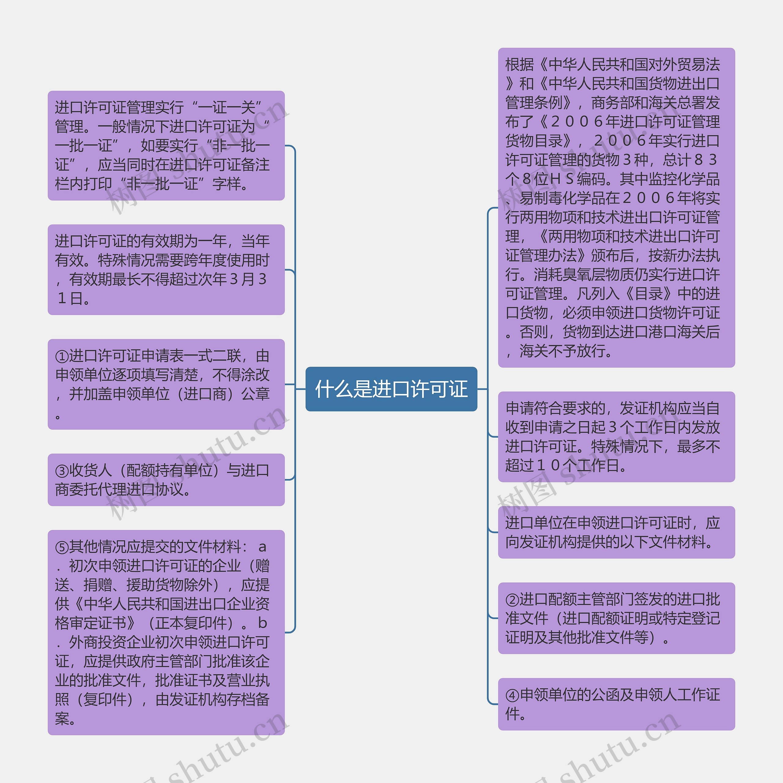 什么是进口许可证思维导图