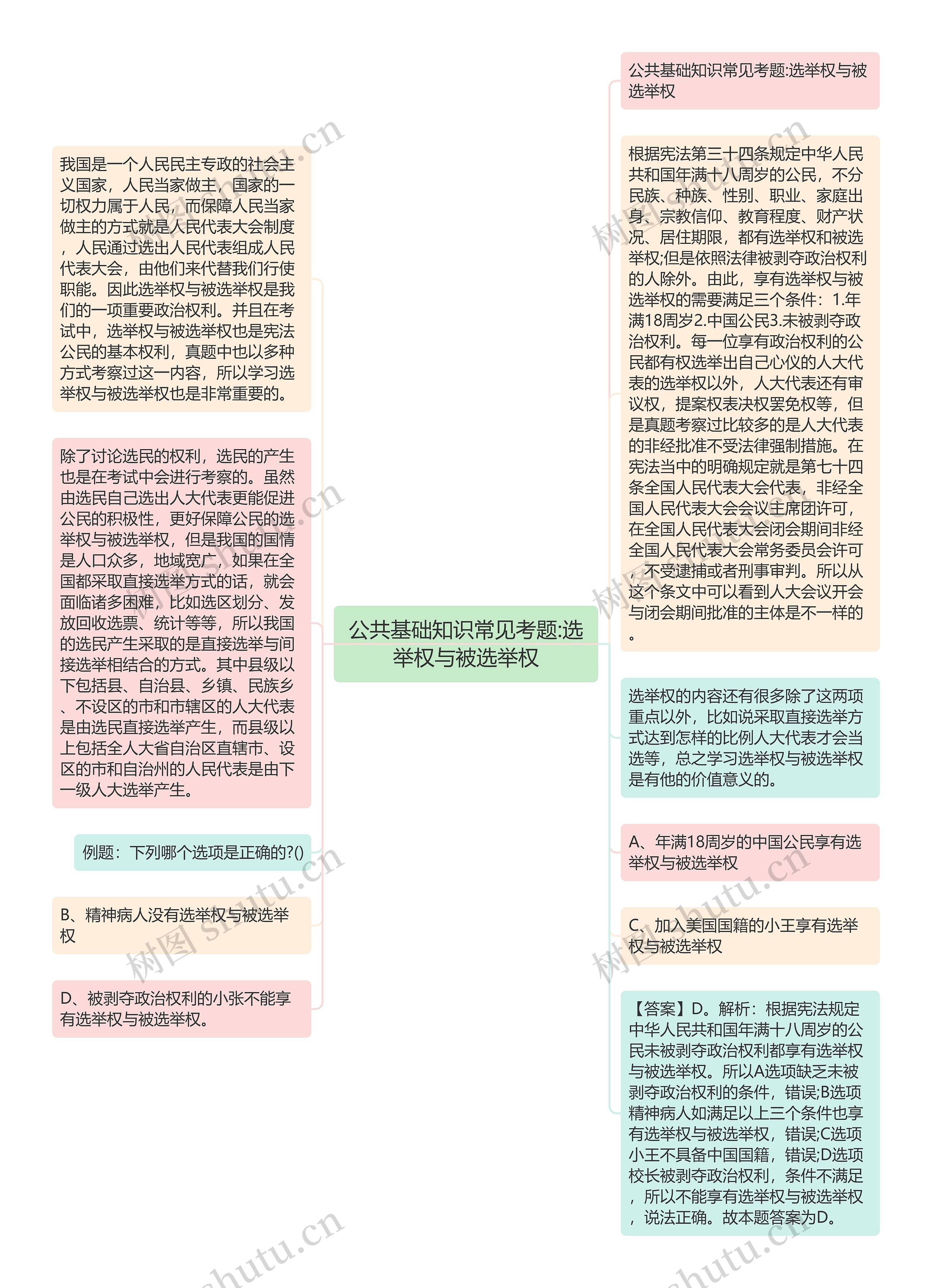 公共基础知识常见考题:选举权与被选举权