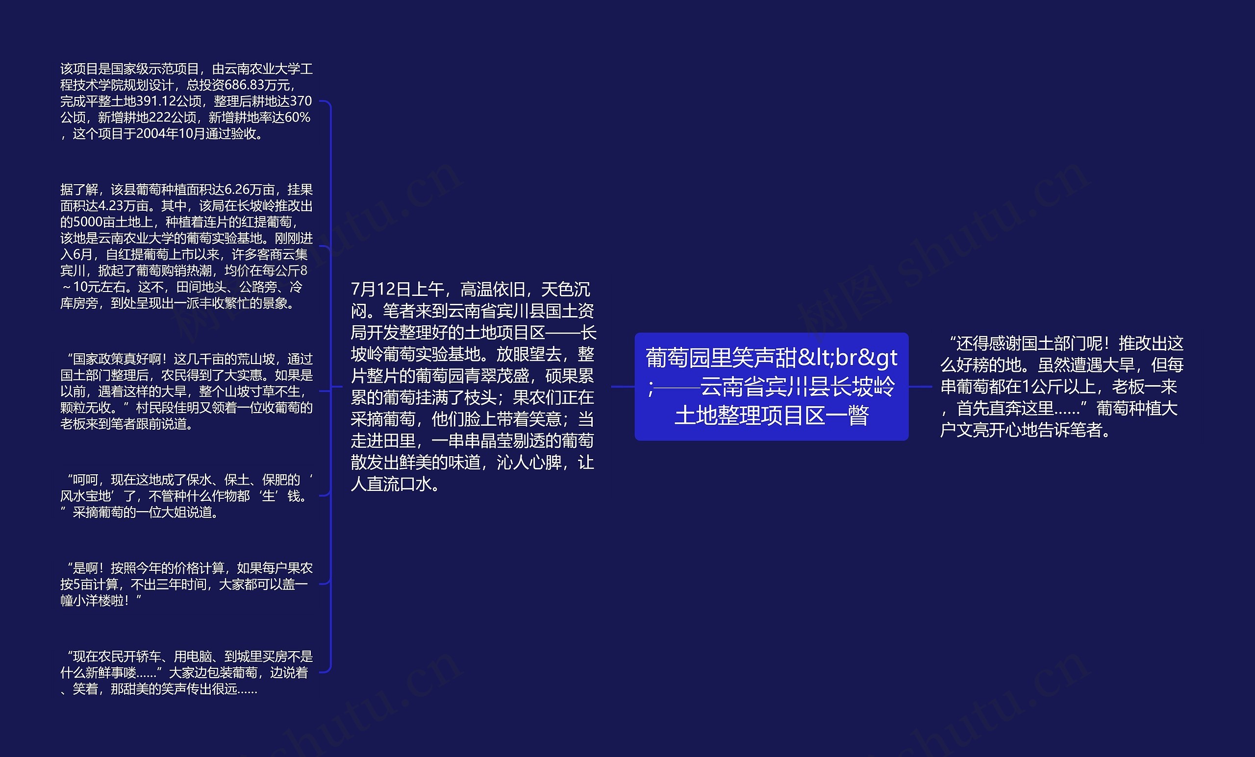 葡萄园里笑声甜&lt;br&gt;——云南省宾川县长坡岭土地整理项目区一瞥