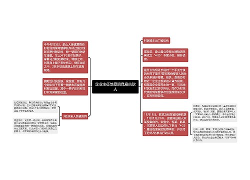 企业主征地受阻竟雇凶砍人